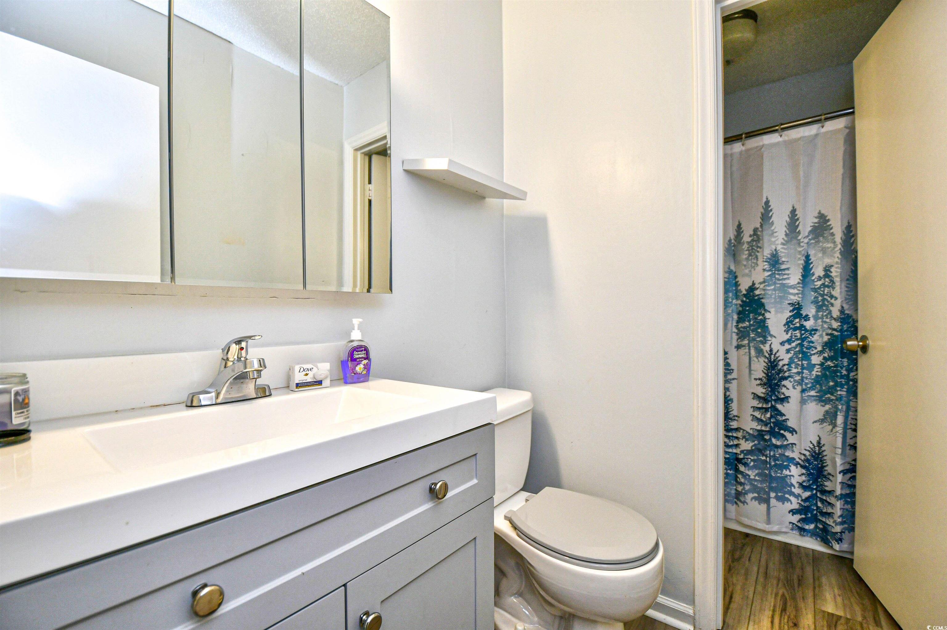 10301 N Kings Hwy. Property Photo 18