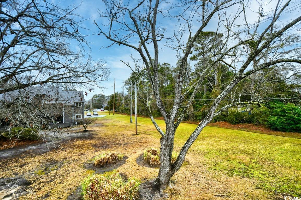 10301 N Kings Hwy. Property Photo 28