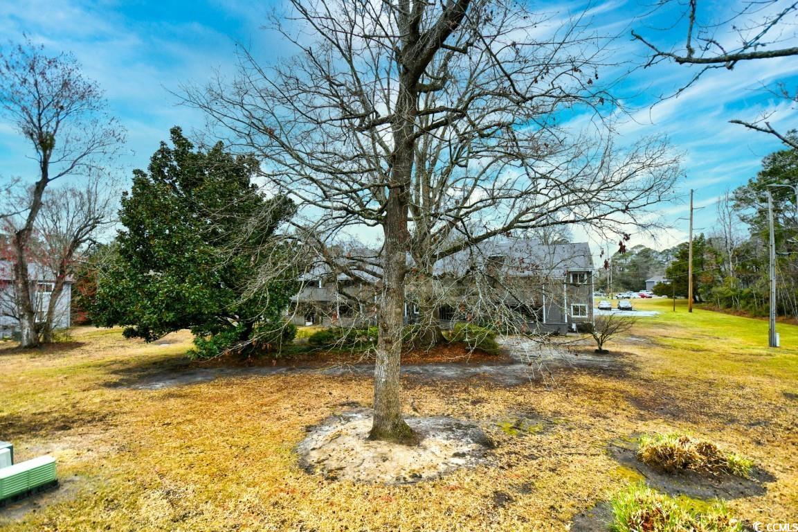 10301 N Kings Hwy. Property Photo 29