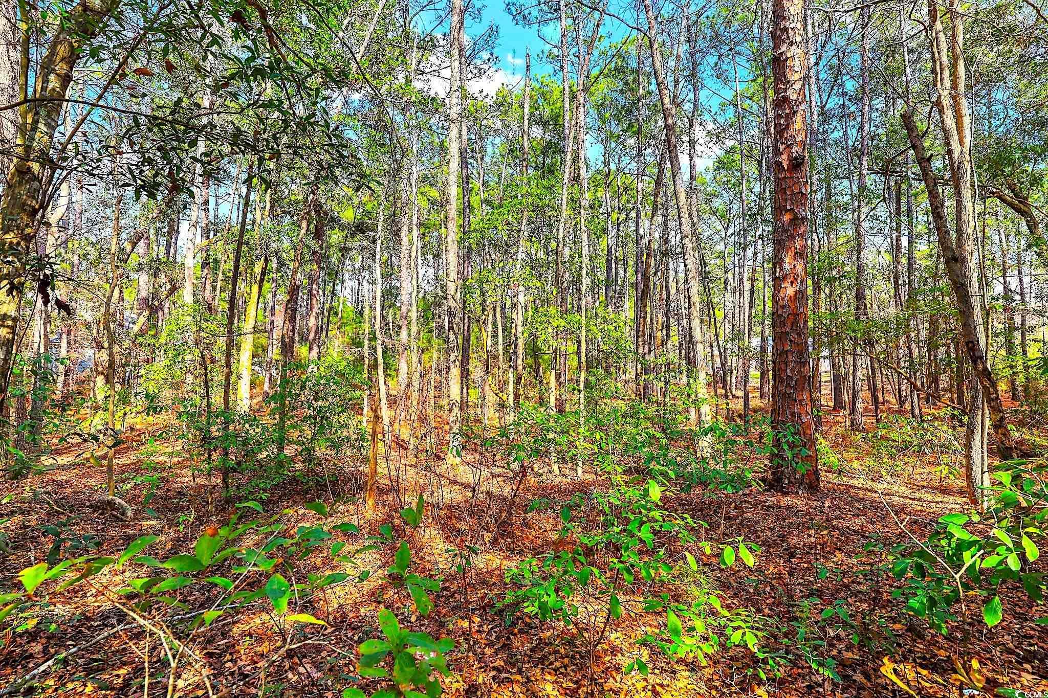 138 Middle Rd. Property Photo 6