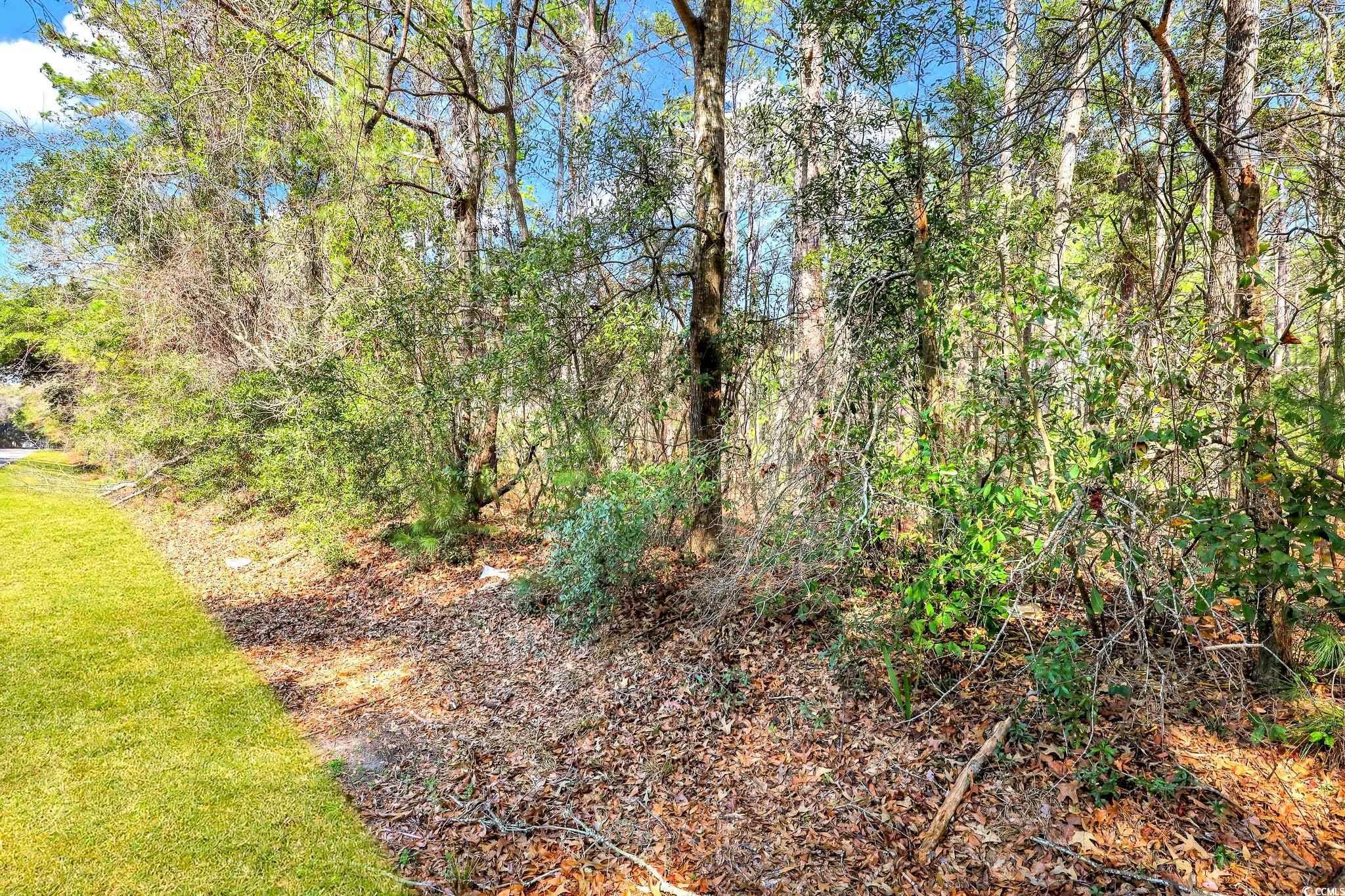 138 Middle Rd. Property Photo 7