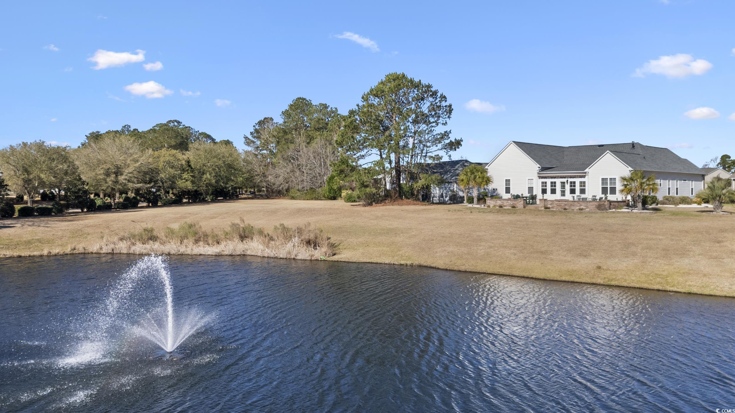 320 Esher Ct. Property Photo 35