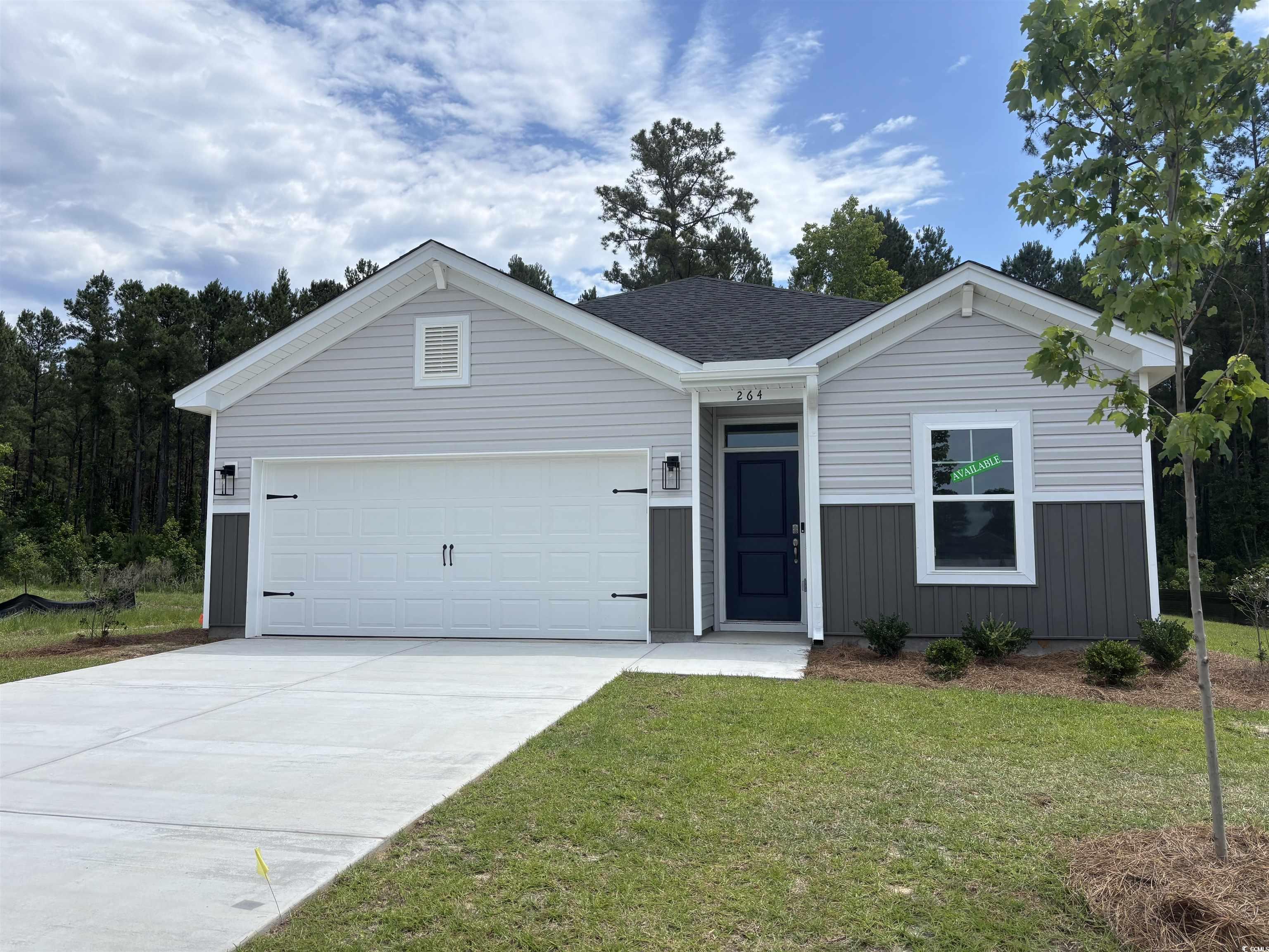 264 Palmetto Sand Loop