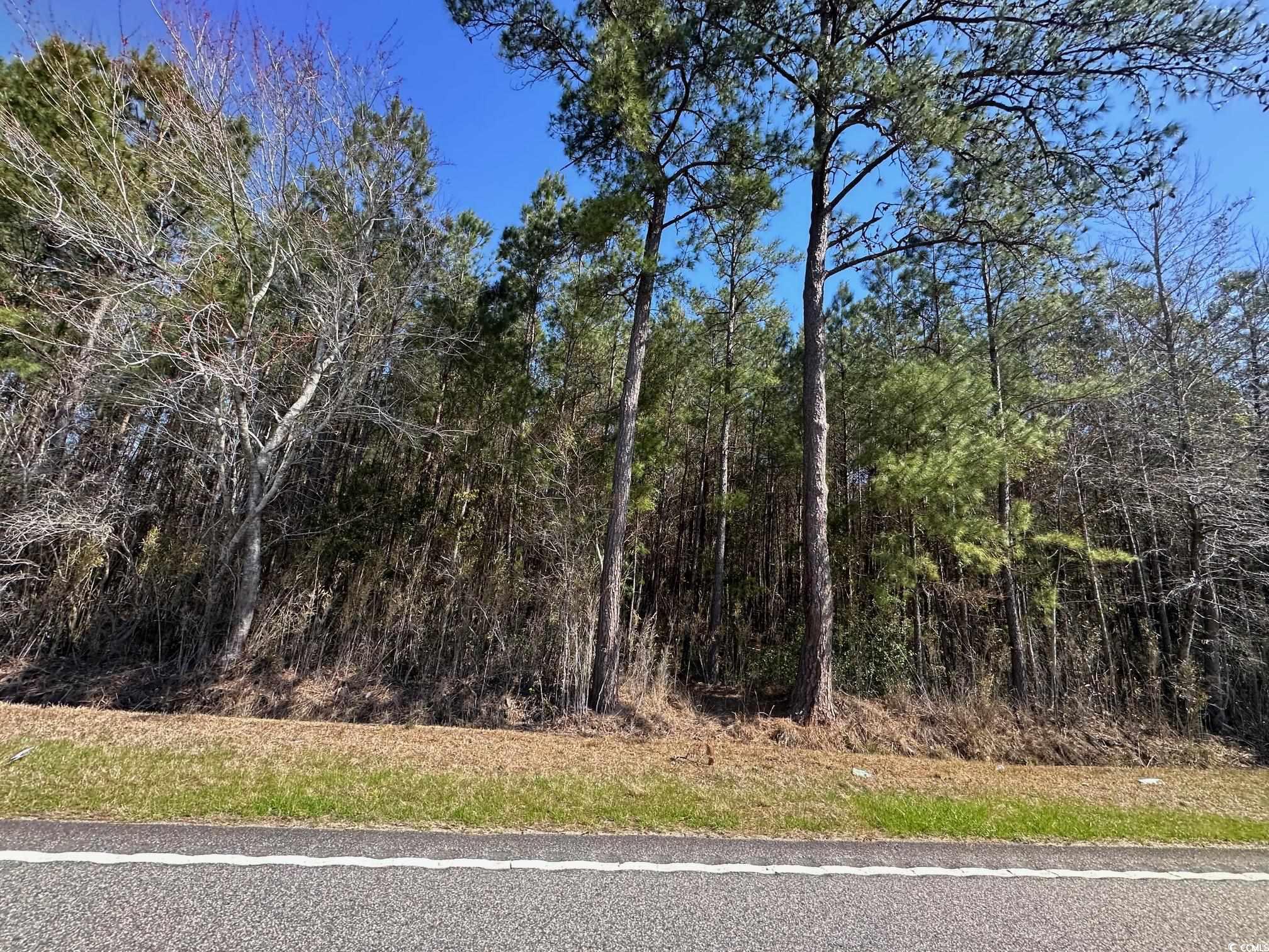 Tbd Joyner Swamp Rd. Property Photo