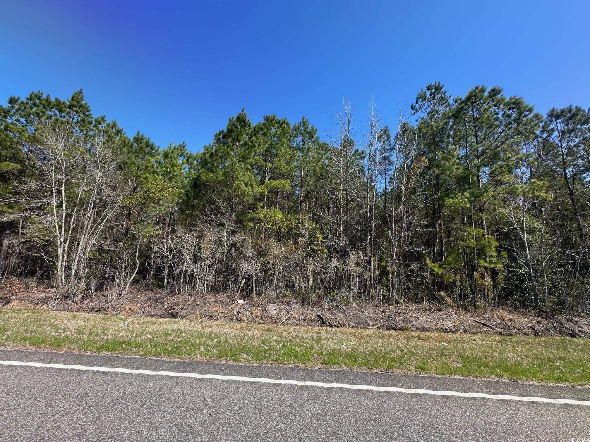 Tbd Joyner Swamp Rd. Property Photo 2