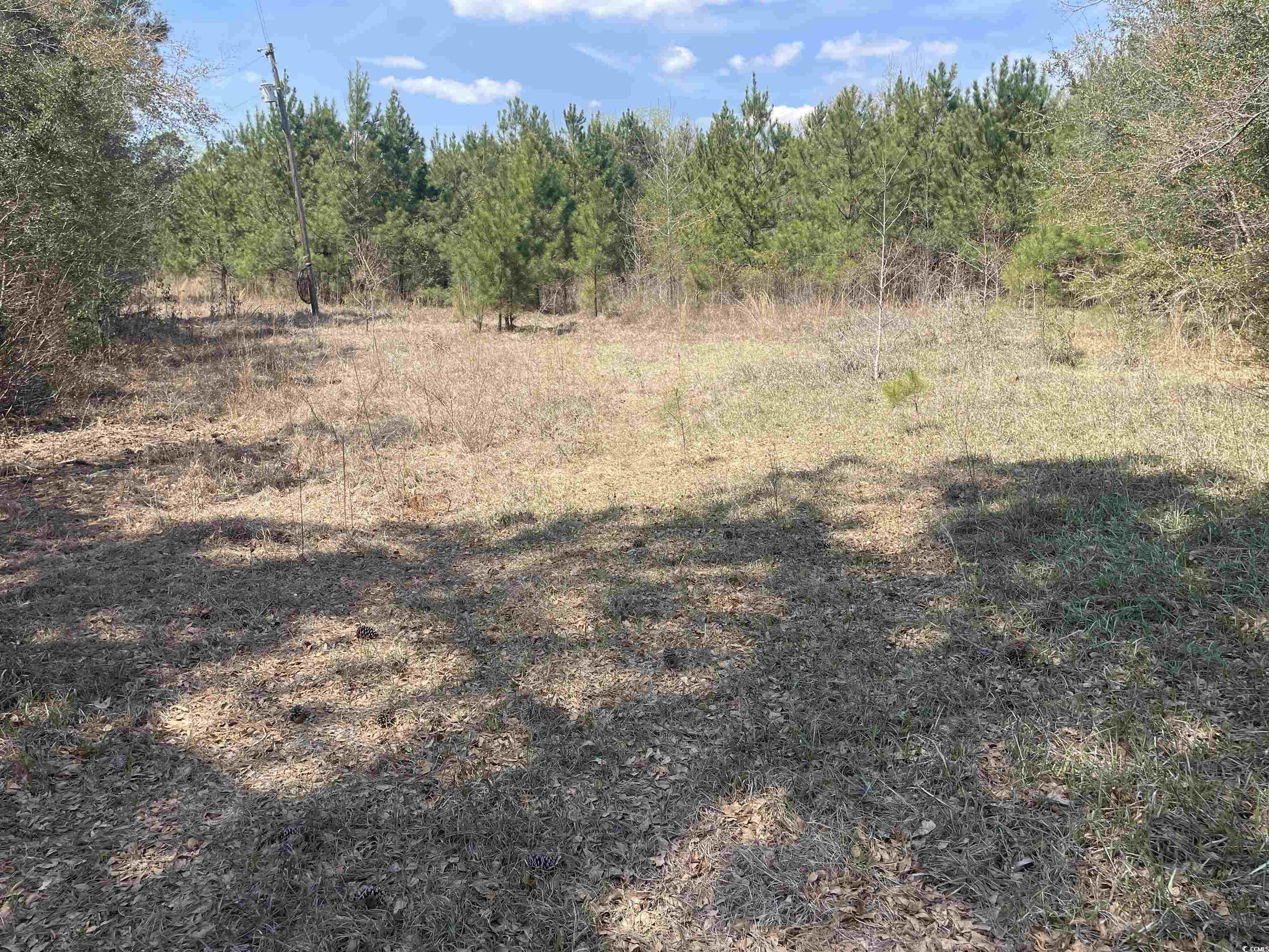 Tbd Hayfield Rd. Property Photo