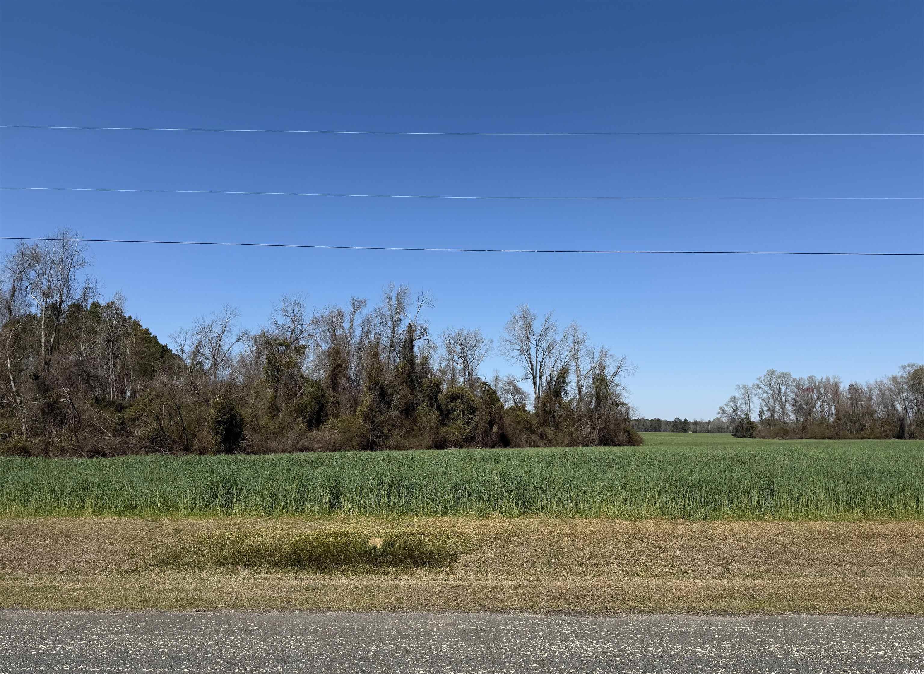 Tbd Cameron Rd. Property Photo 2