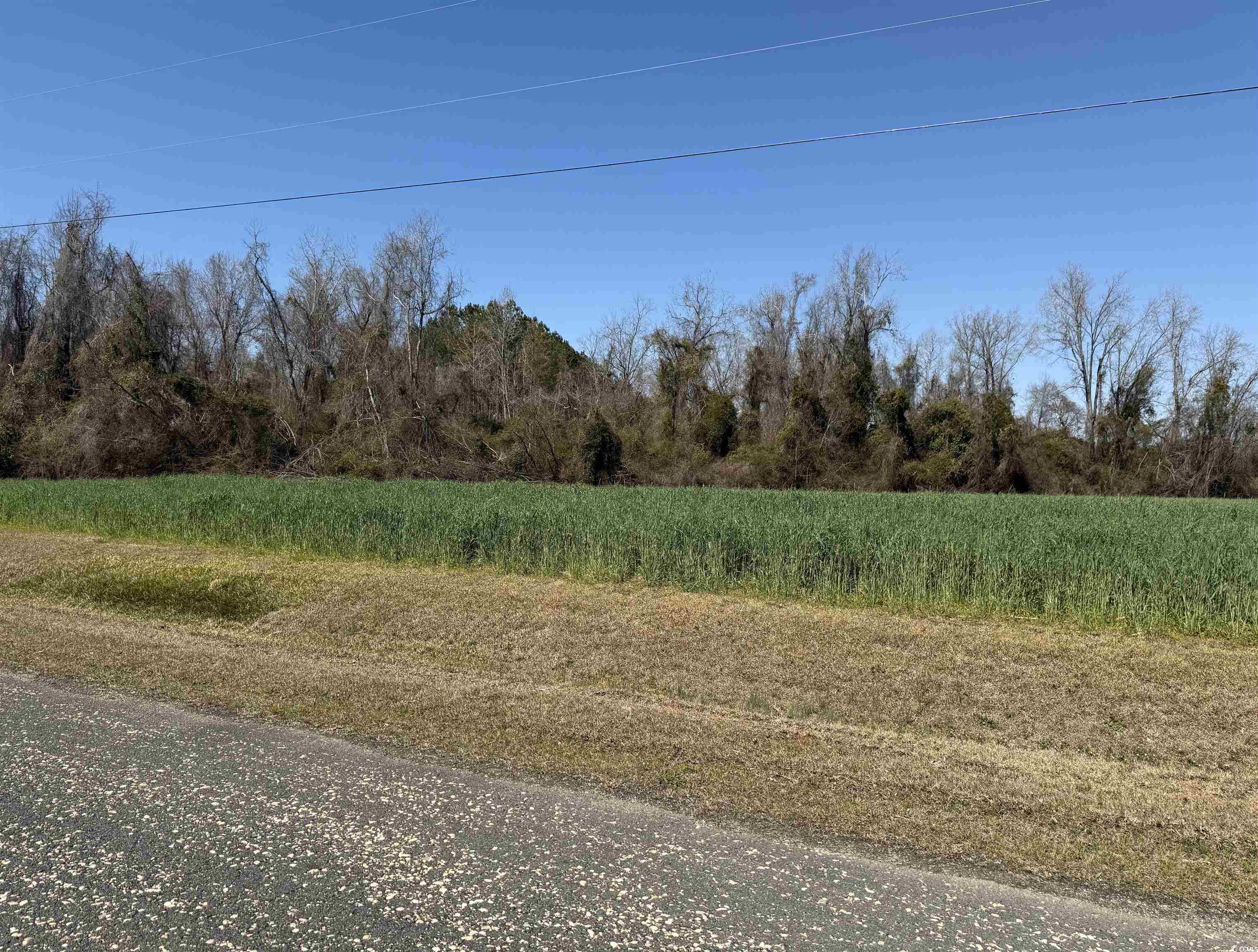 Tbd Cameron Rd. Property Photo 3
