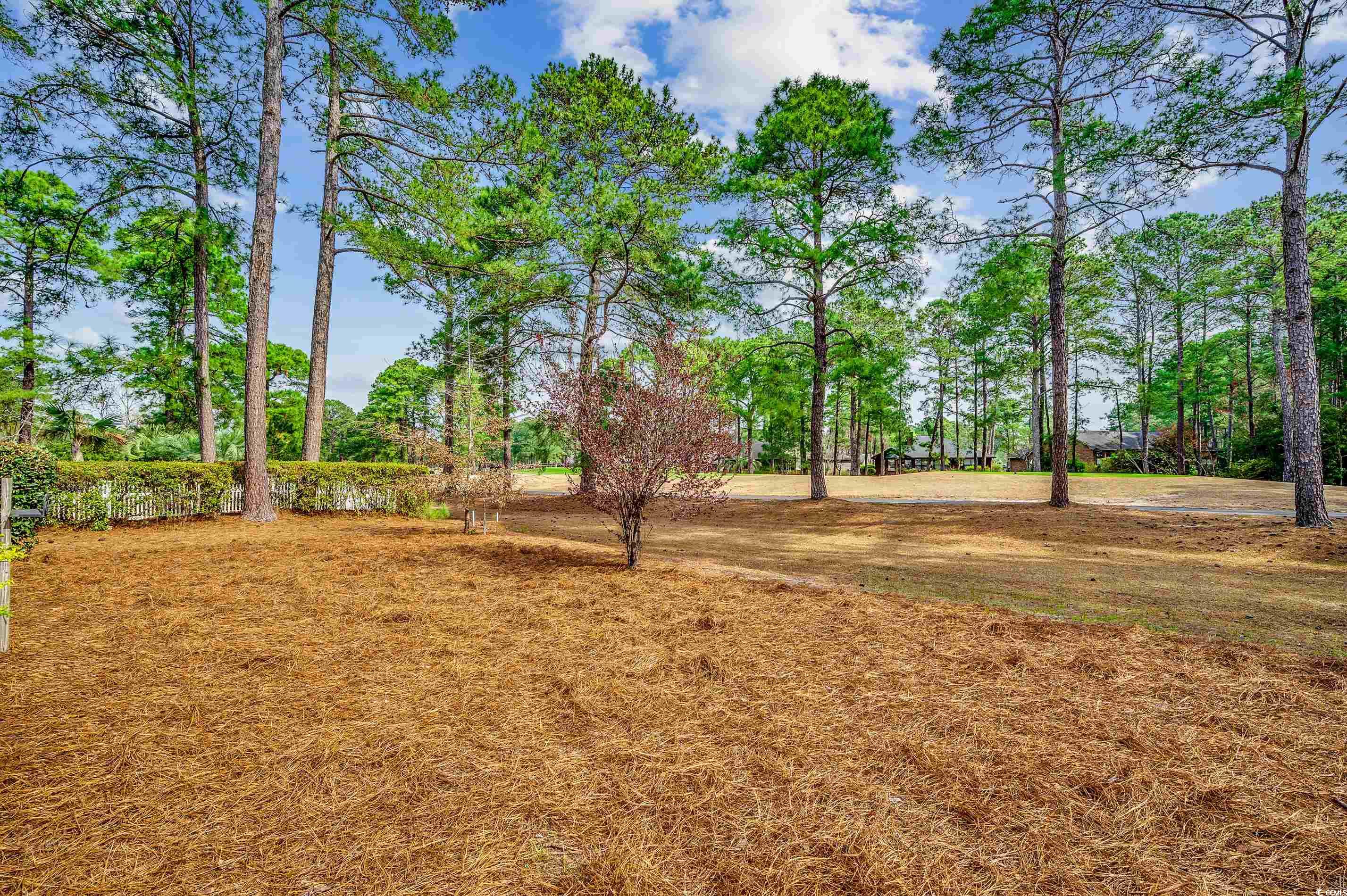 8263 Timber Ridge Rd. Property Photo 33