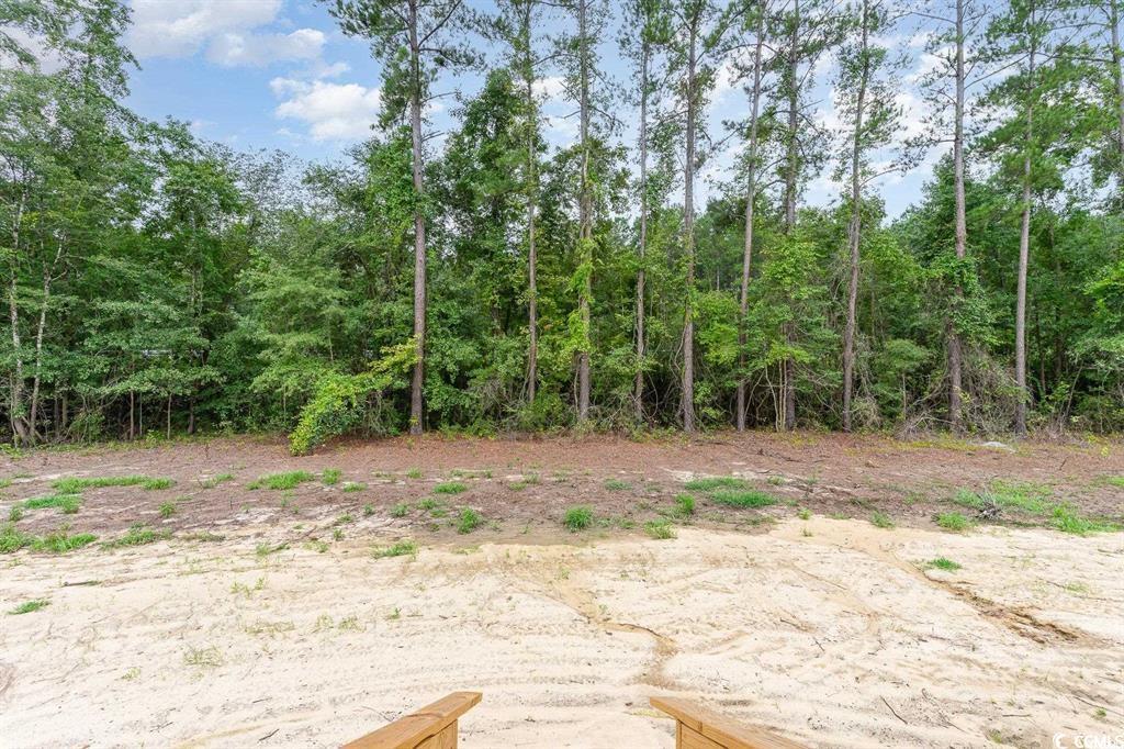 2673 Piney Grove Church Rd Property Photo 12
