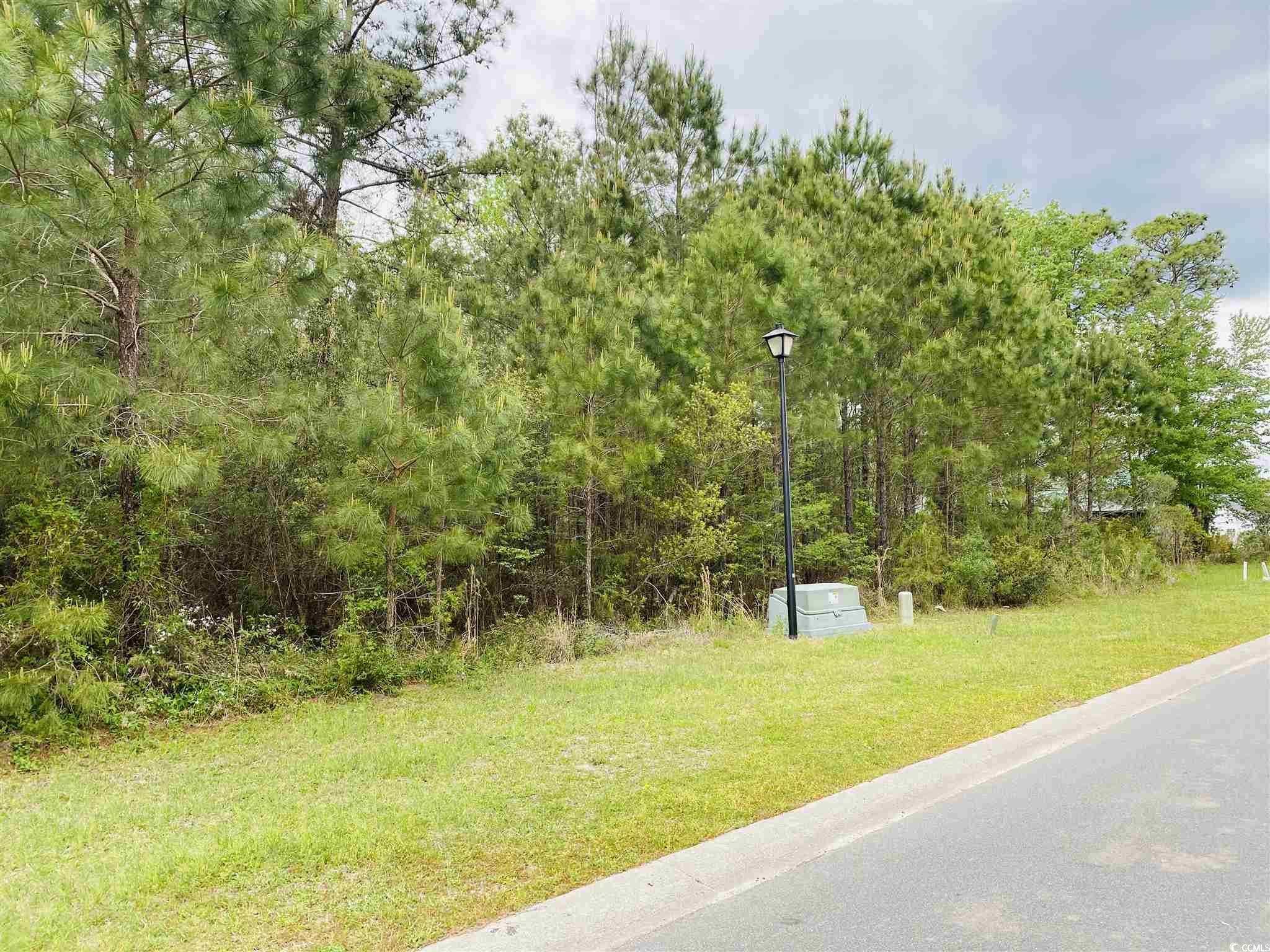 3053 New Castle Loop Property Photo 10