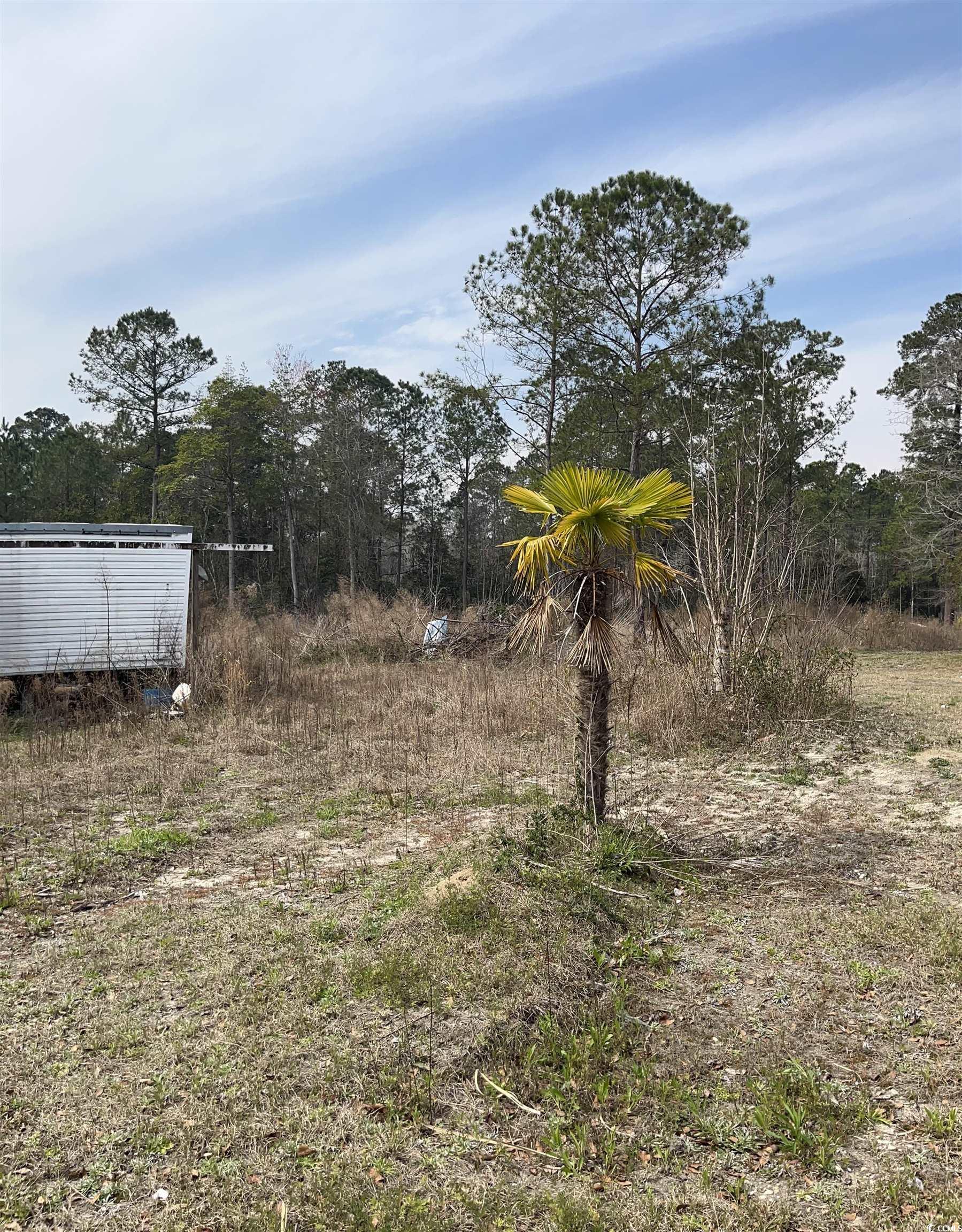 6030 Poplar St. Property Photo 3
