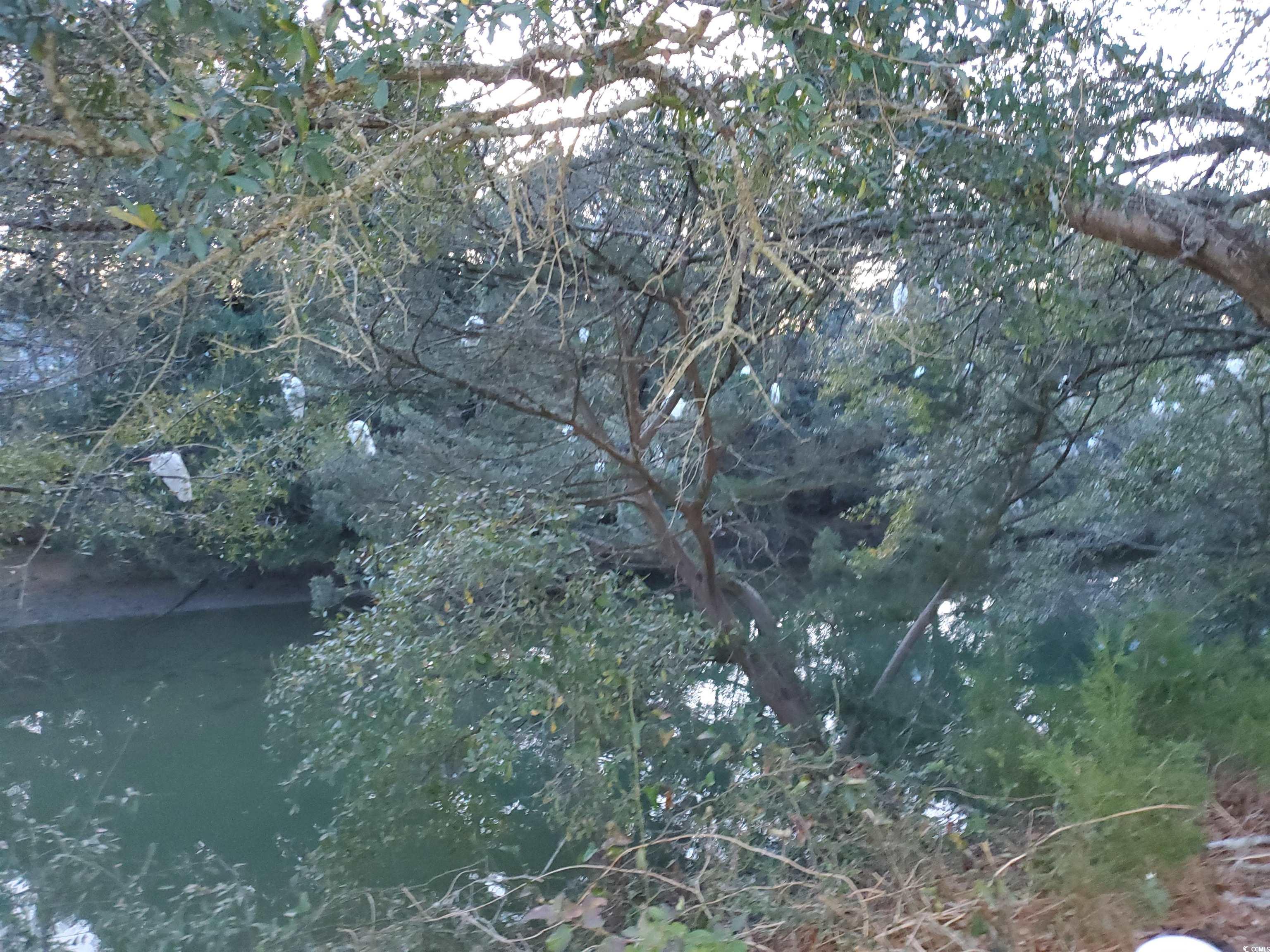 425 Delton Dr. Property Photo 30