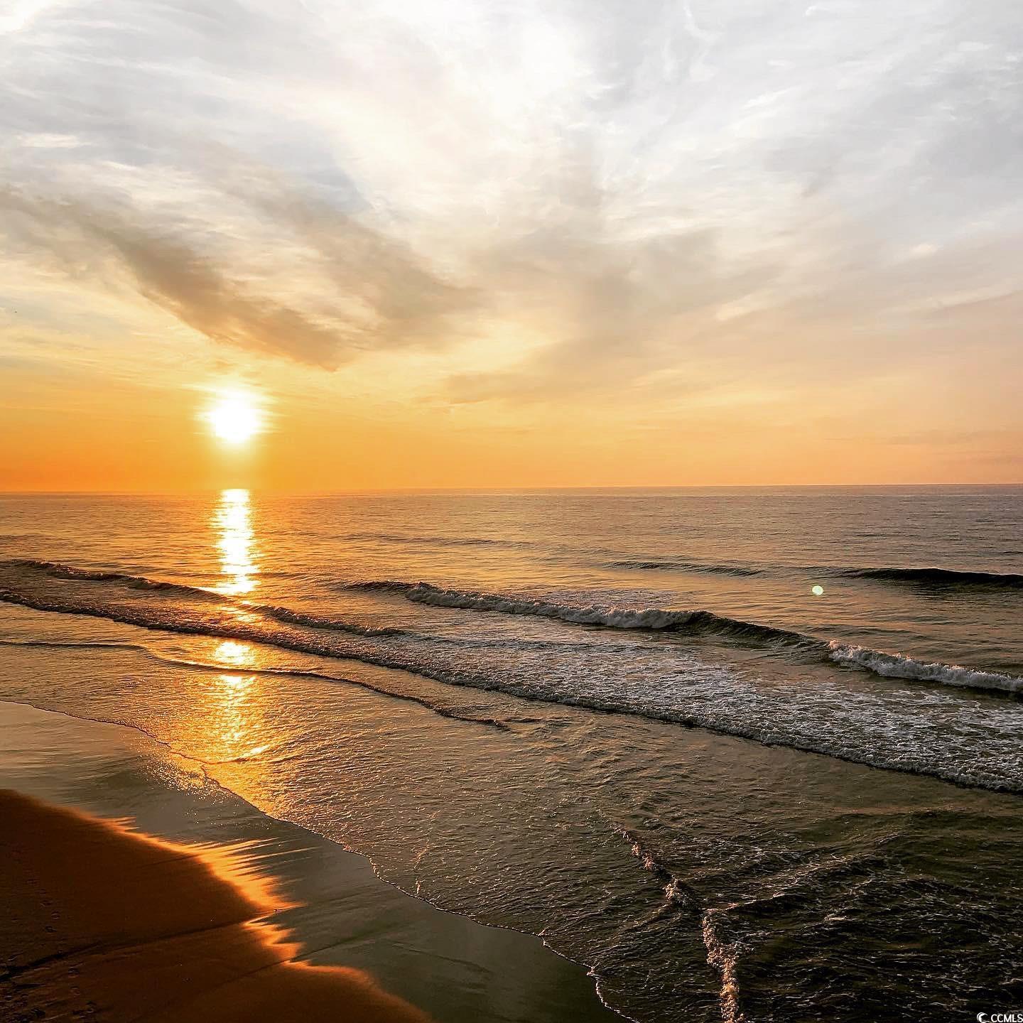 425 Delton Dr. Property Photo 34