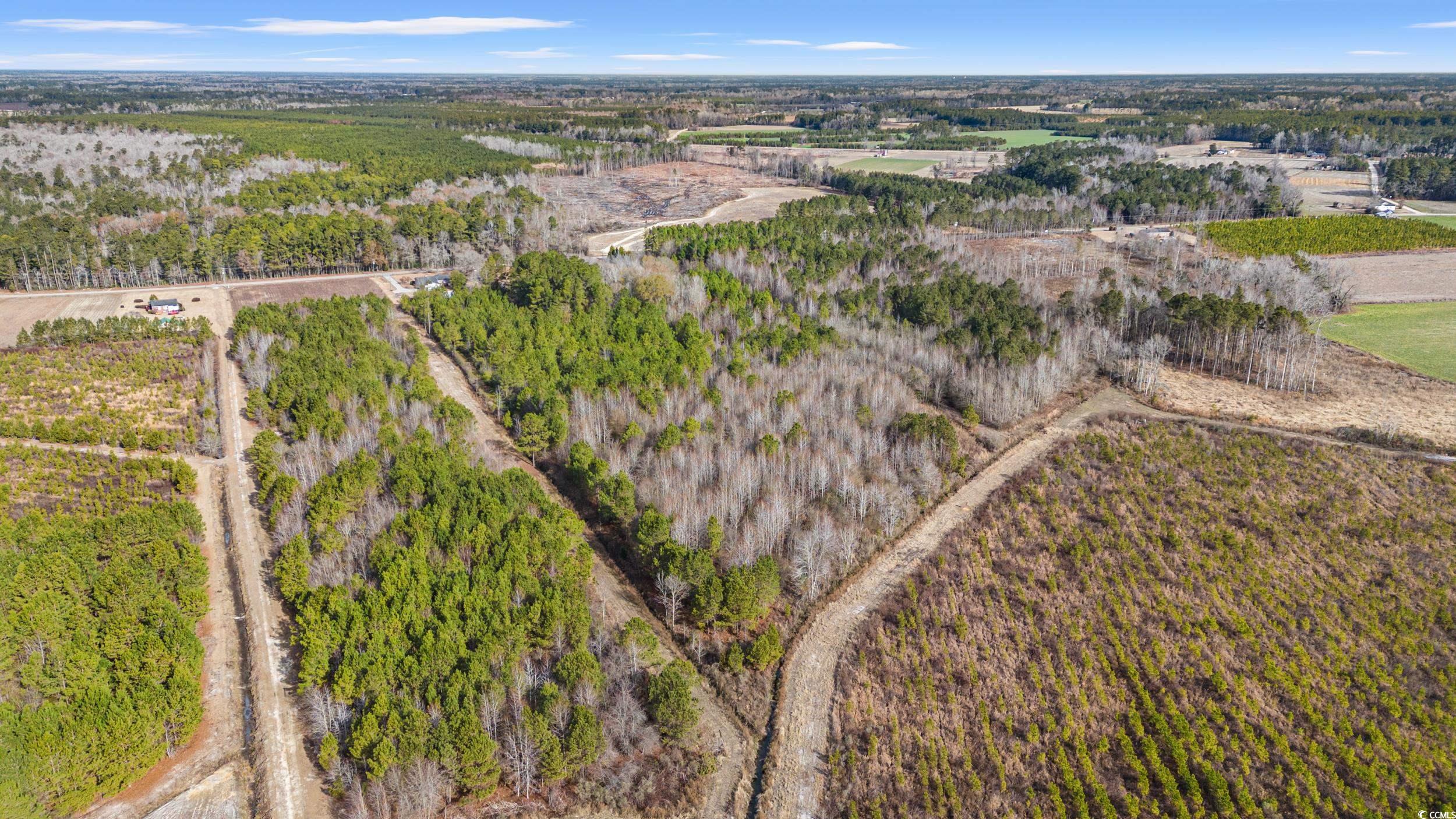 Tbd Highway 430 Property Photo 2