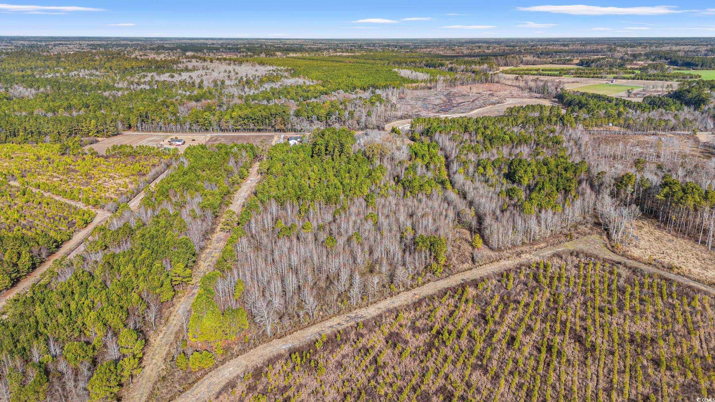 Tbd Highway 430 Property Photo 3