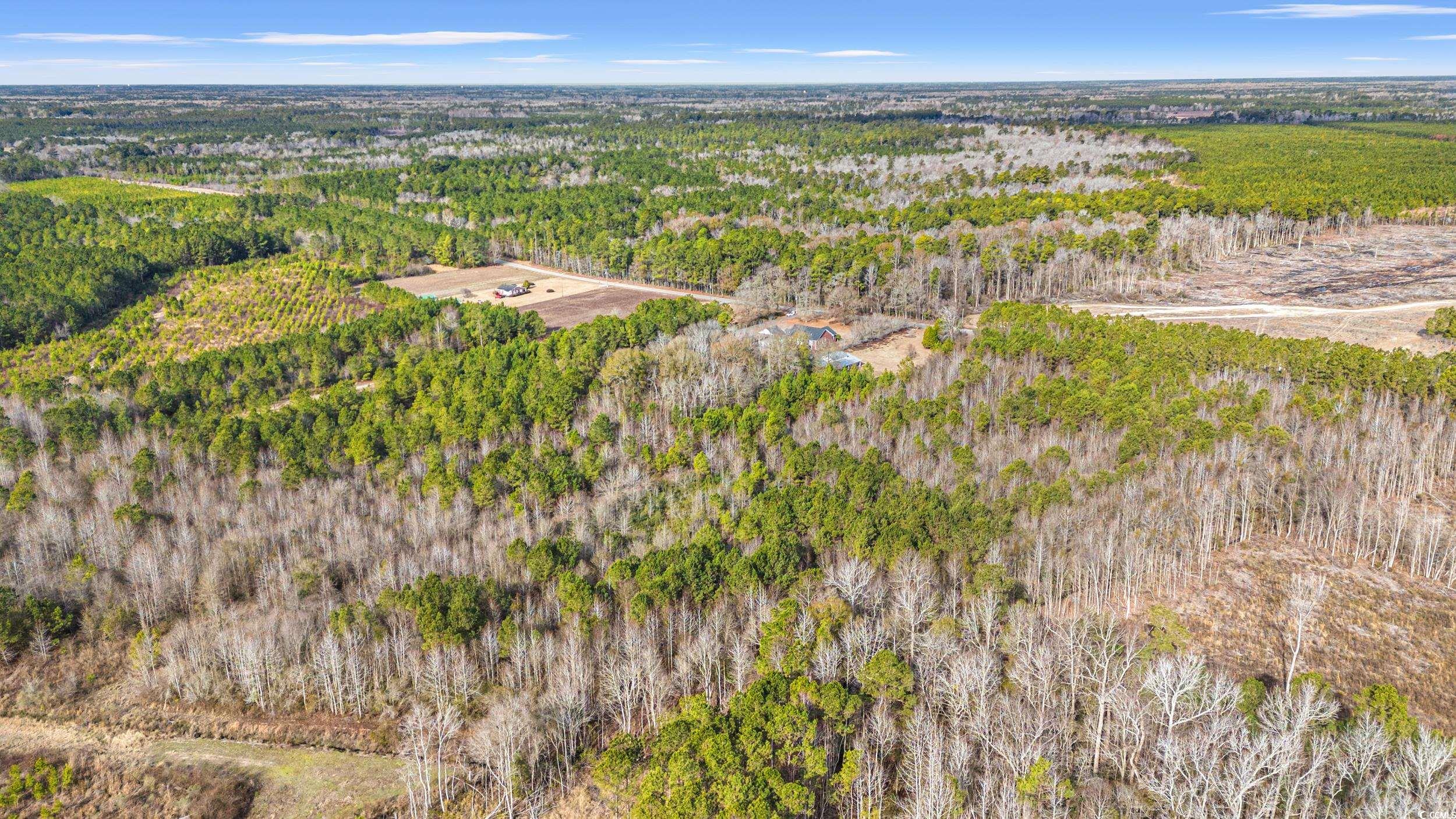 Tbd Highway 430 Property Photo 4