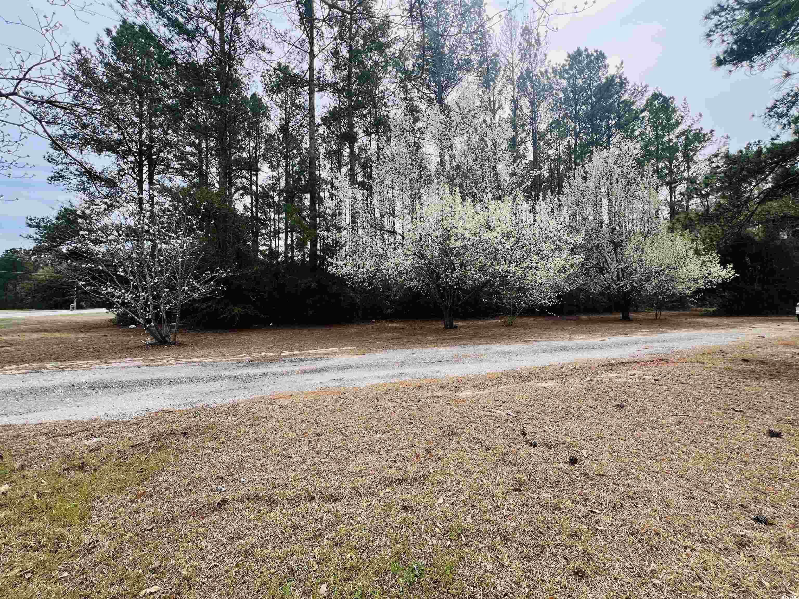 873 Sumter Hwy. Property Photo 33