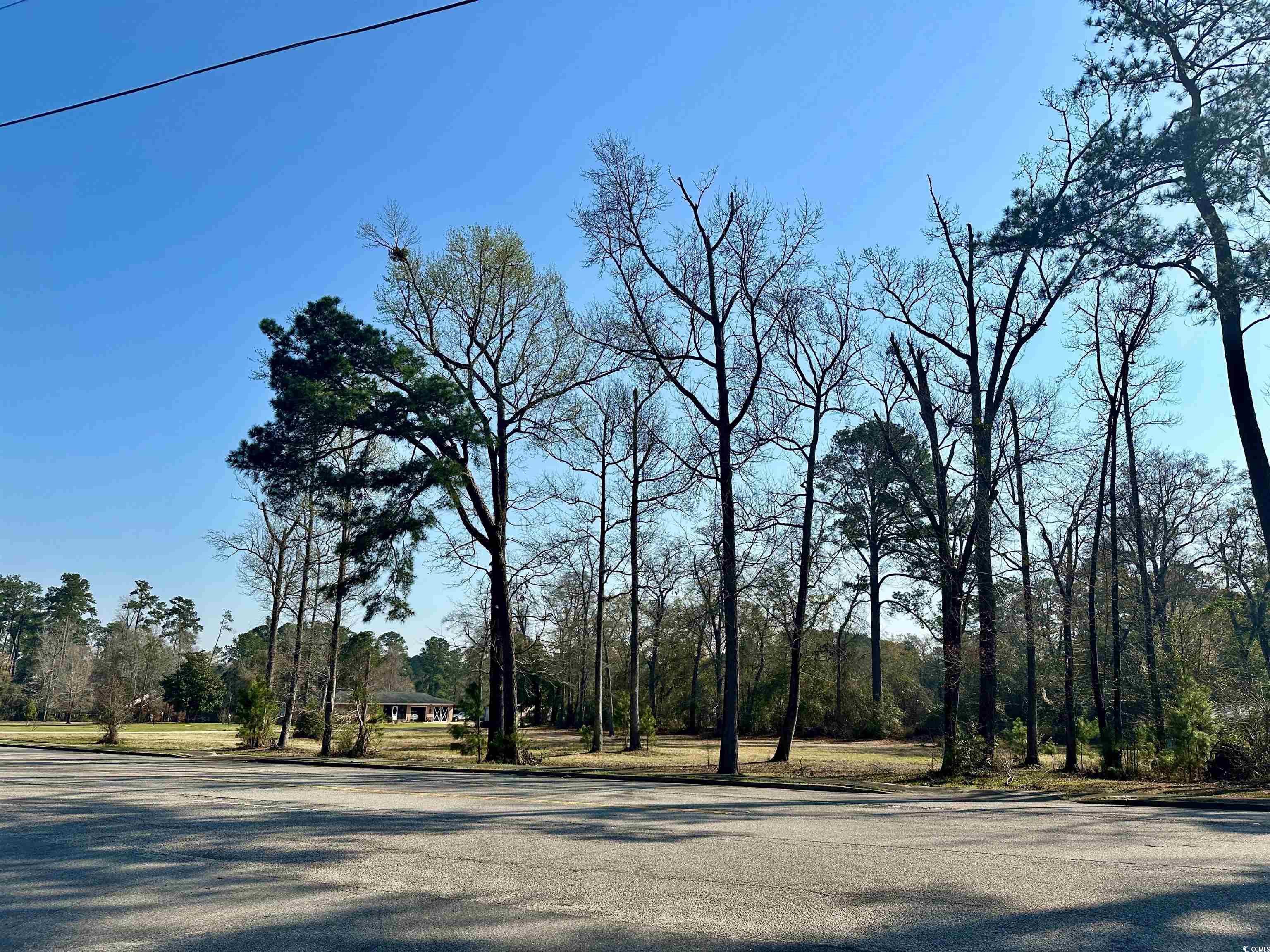 Tbd N Main St. Property Photo 5