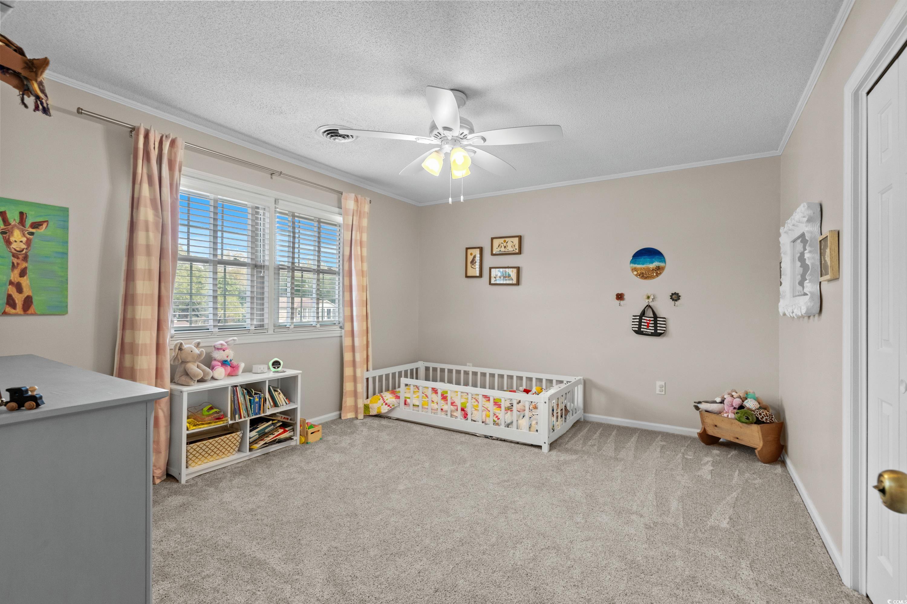 288 Rum Gully Rd. Property Photo 33