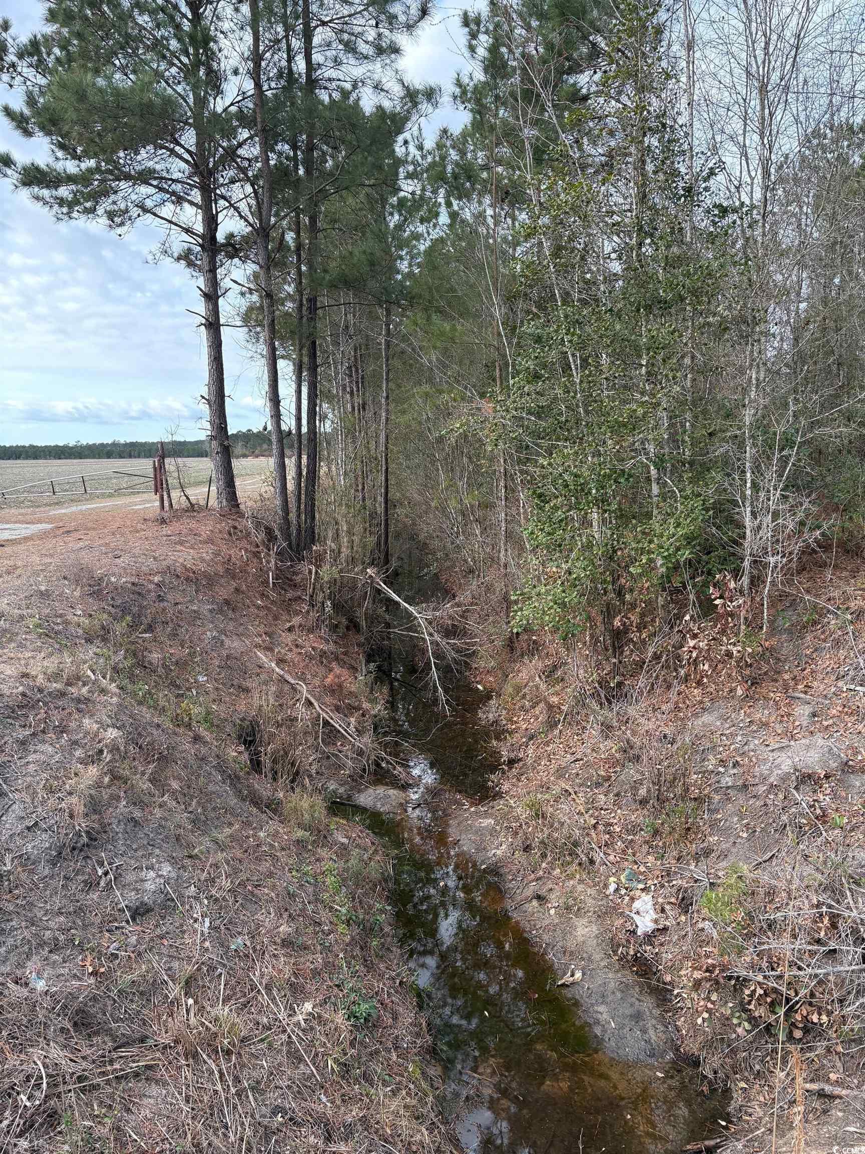 Tba 476 Dothan Rd. Property Photo 3