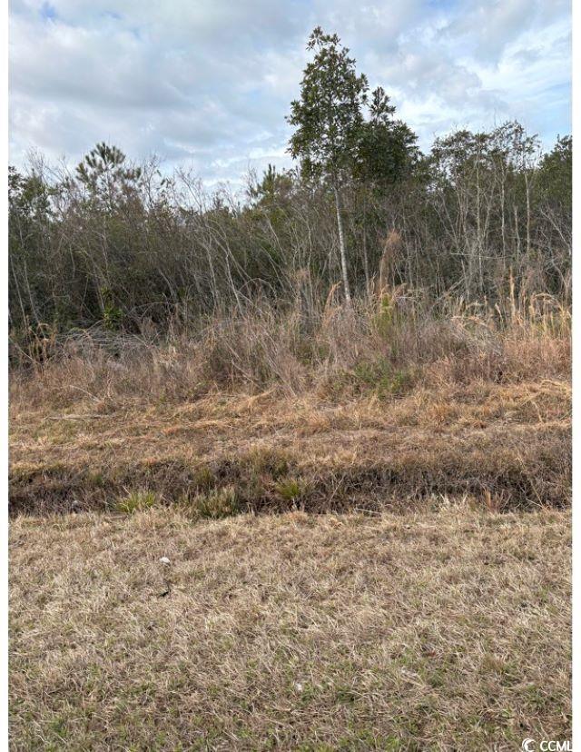Tba 476 Dothan Rd. Property Photo 7