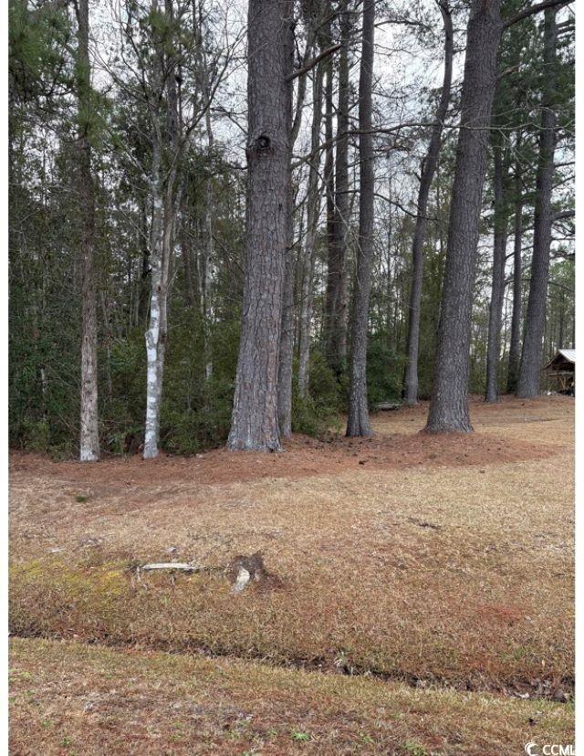 Tba 476 Dothan Rd. Property Photo 8