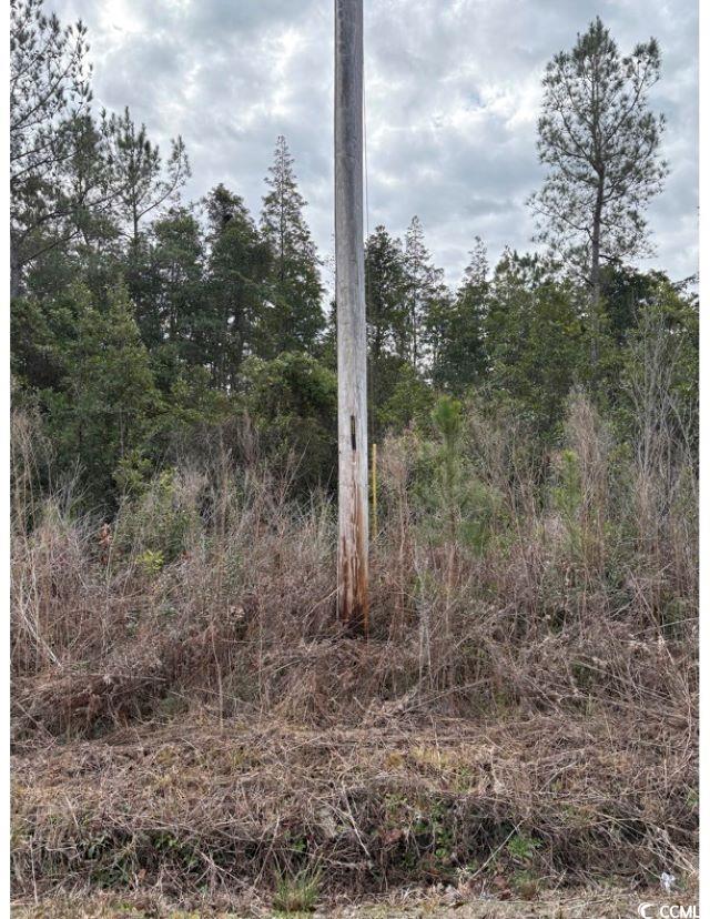 Tba 476 Dothan Rd. Property Photo 9