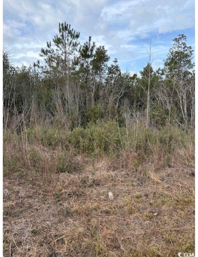 Tba 476 Dothan Rd. Property Photo 10