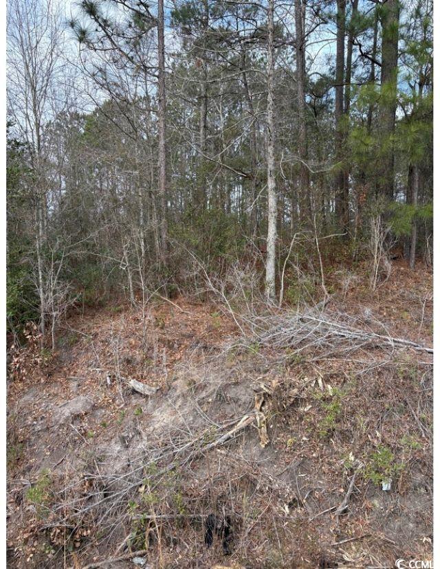 Tba 476 Dothan Rd. Property Photo 11