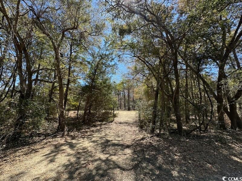 Tbd Black Gum Rd. Property Photo 3