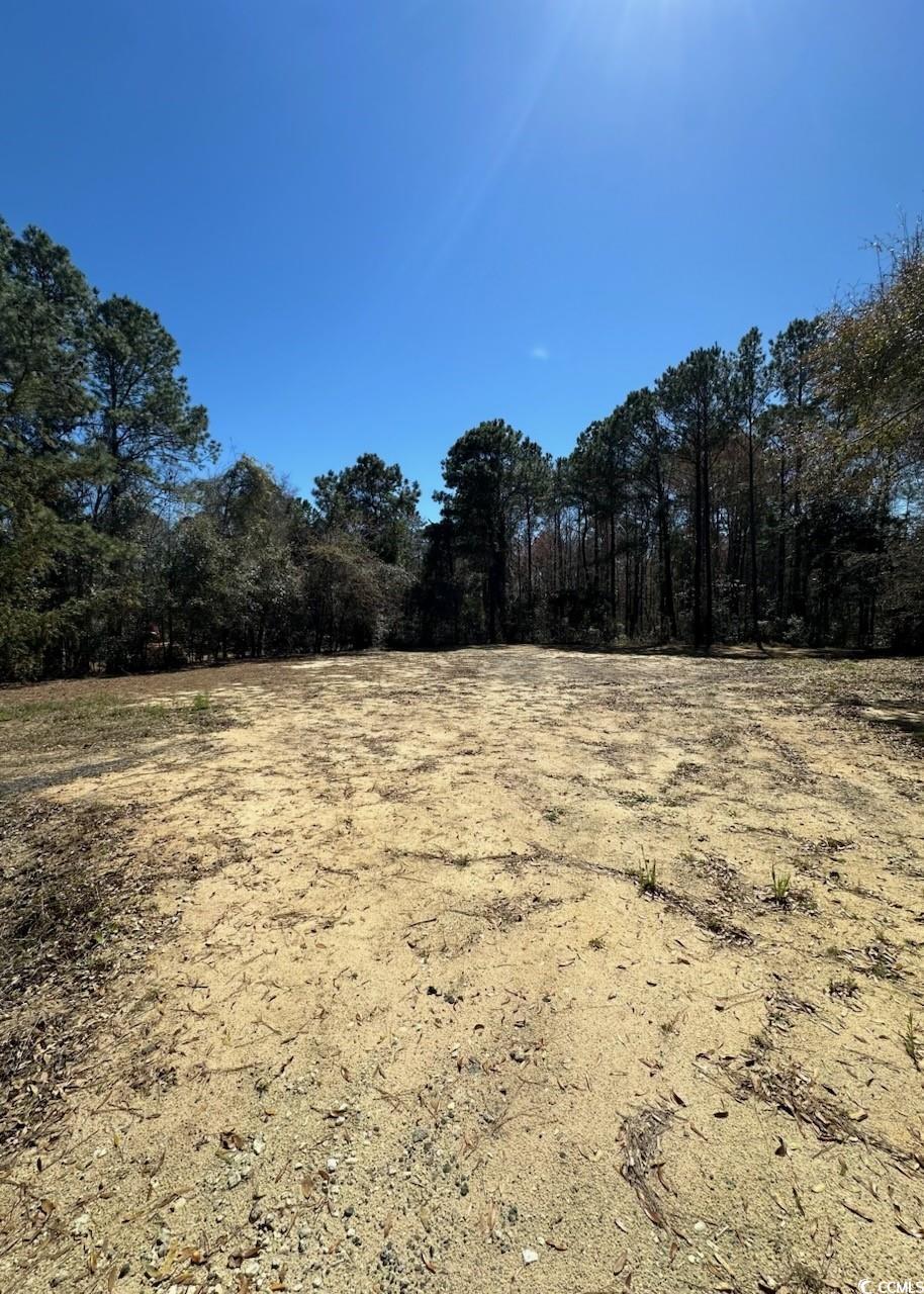 Tbd Black Gum Rd. Property Photo 4