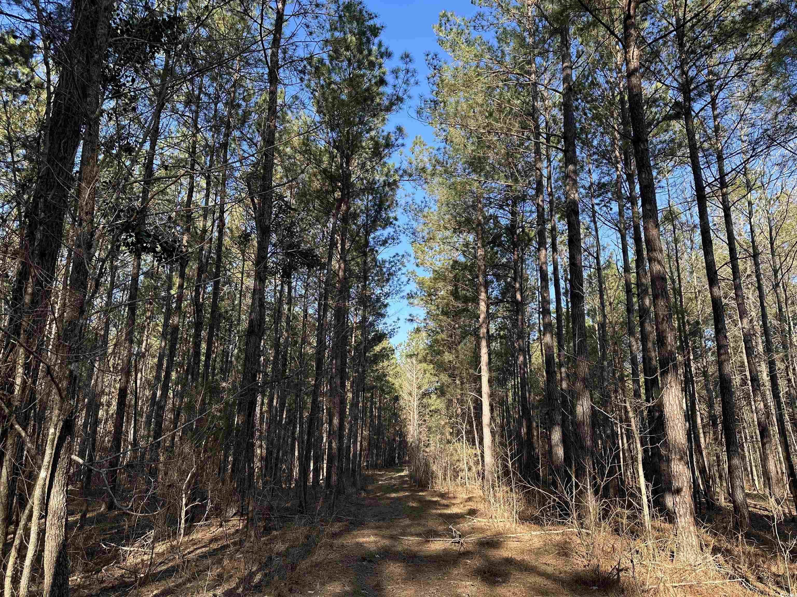 Tbd Rocky Ford Rd. Property Photo 2