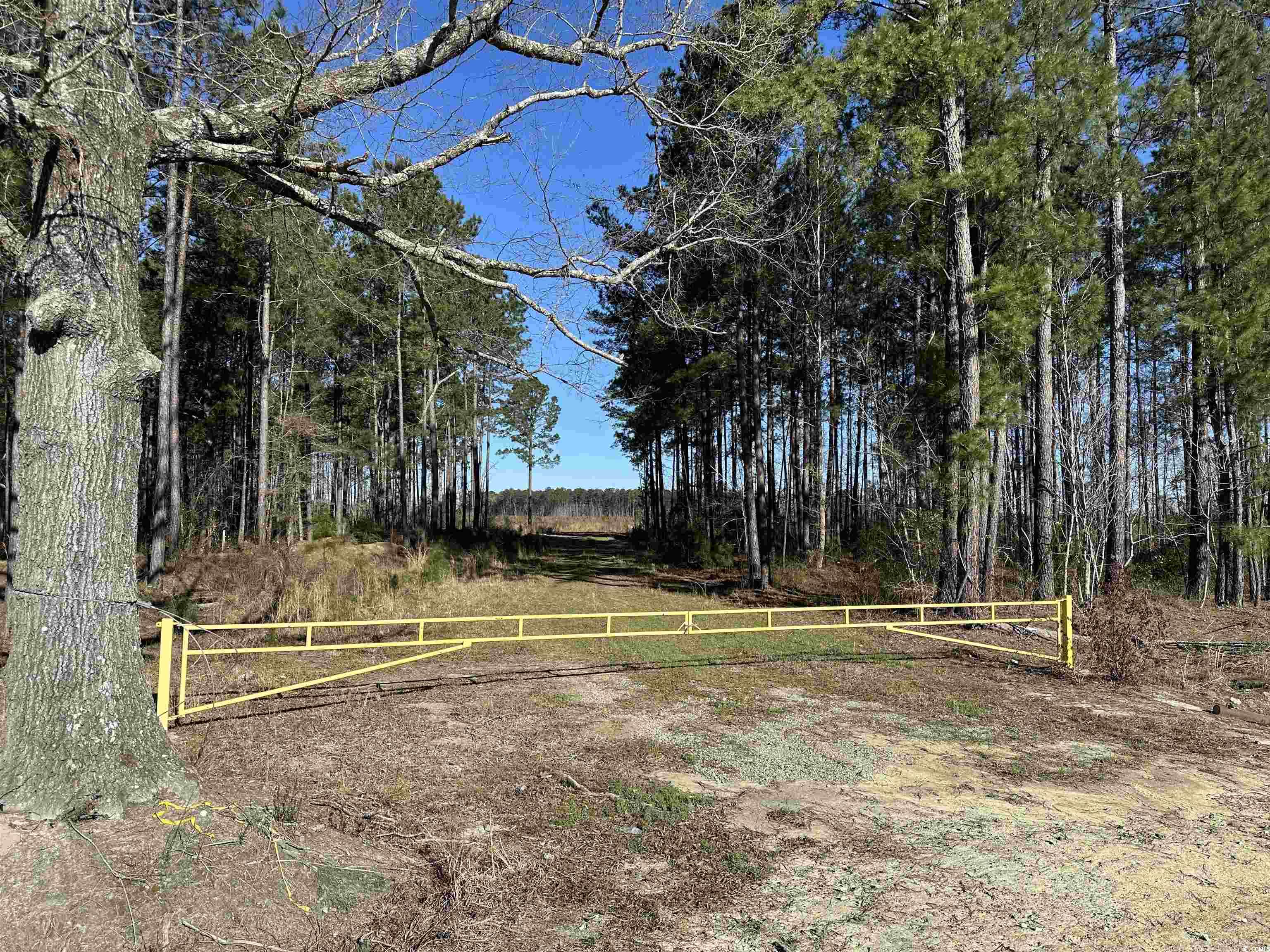 Tbd Rocky Ford Rd. Property Photo 3