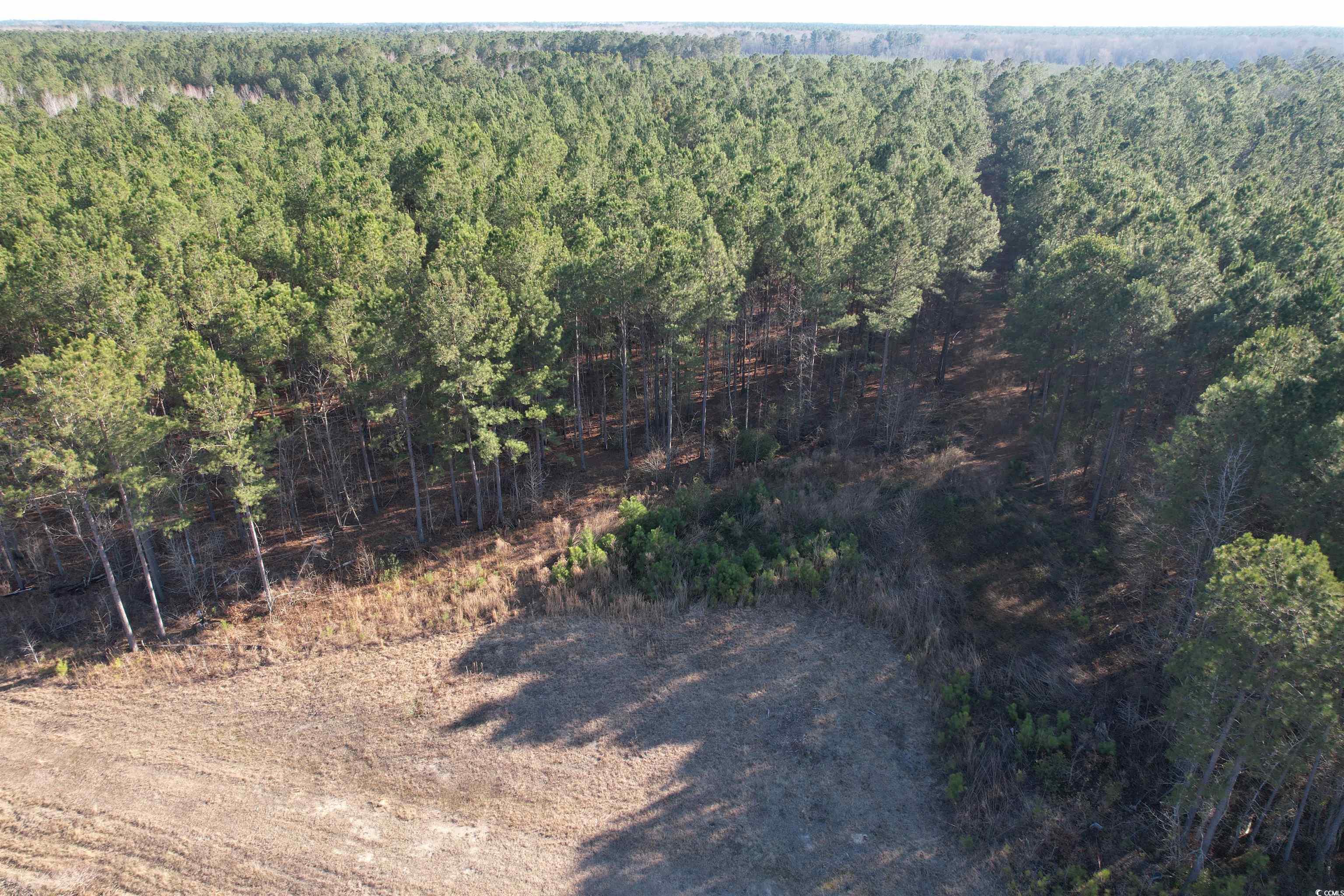 Tbd Rocky Ford Rd. Property Photo 8