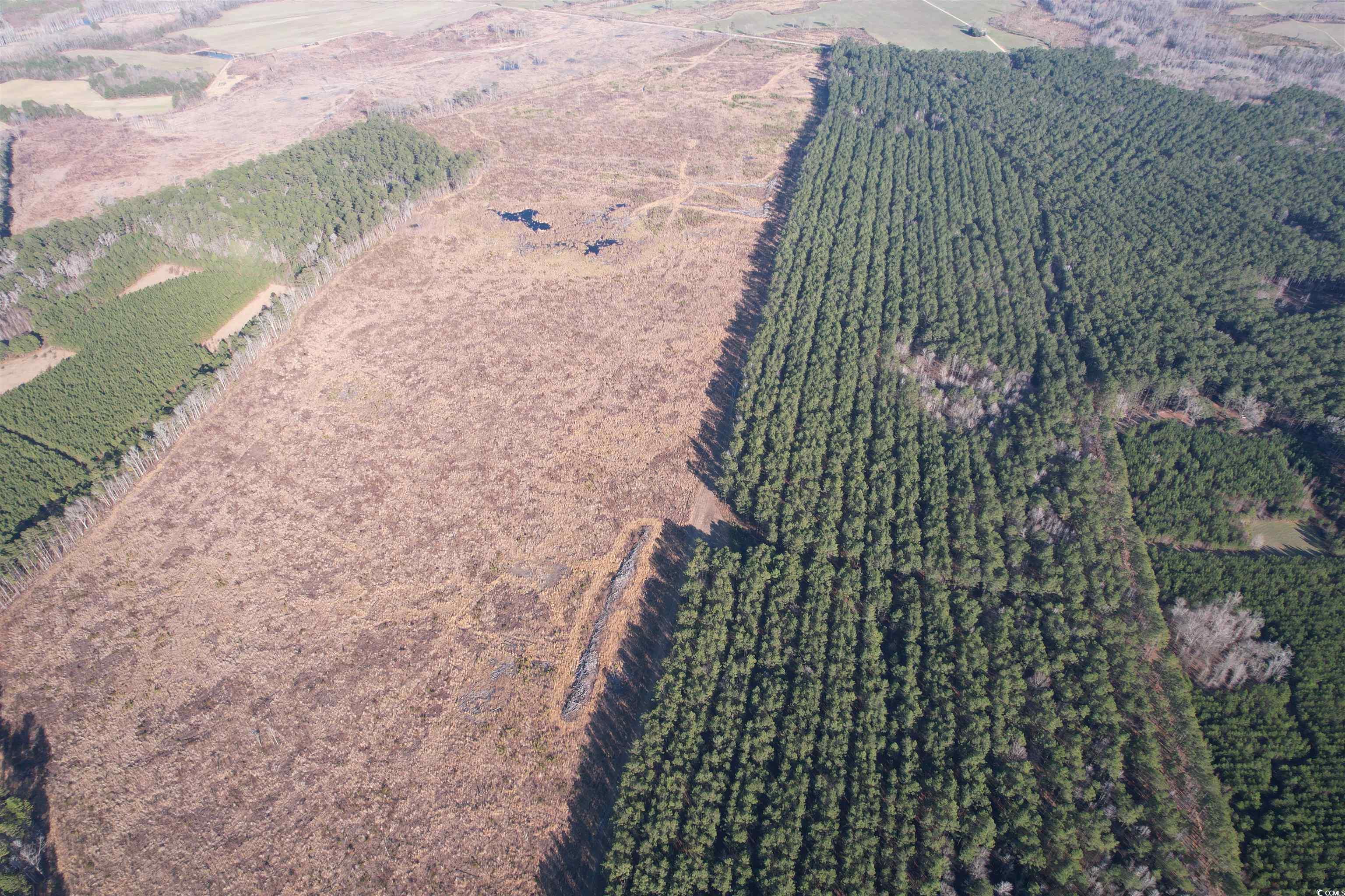 Tbd Rocky Ford Rd. Property Photo 10