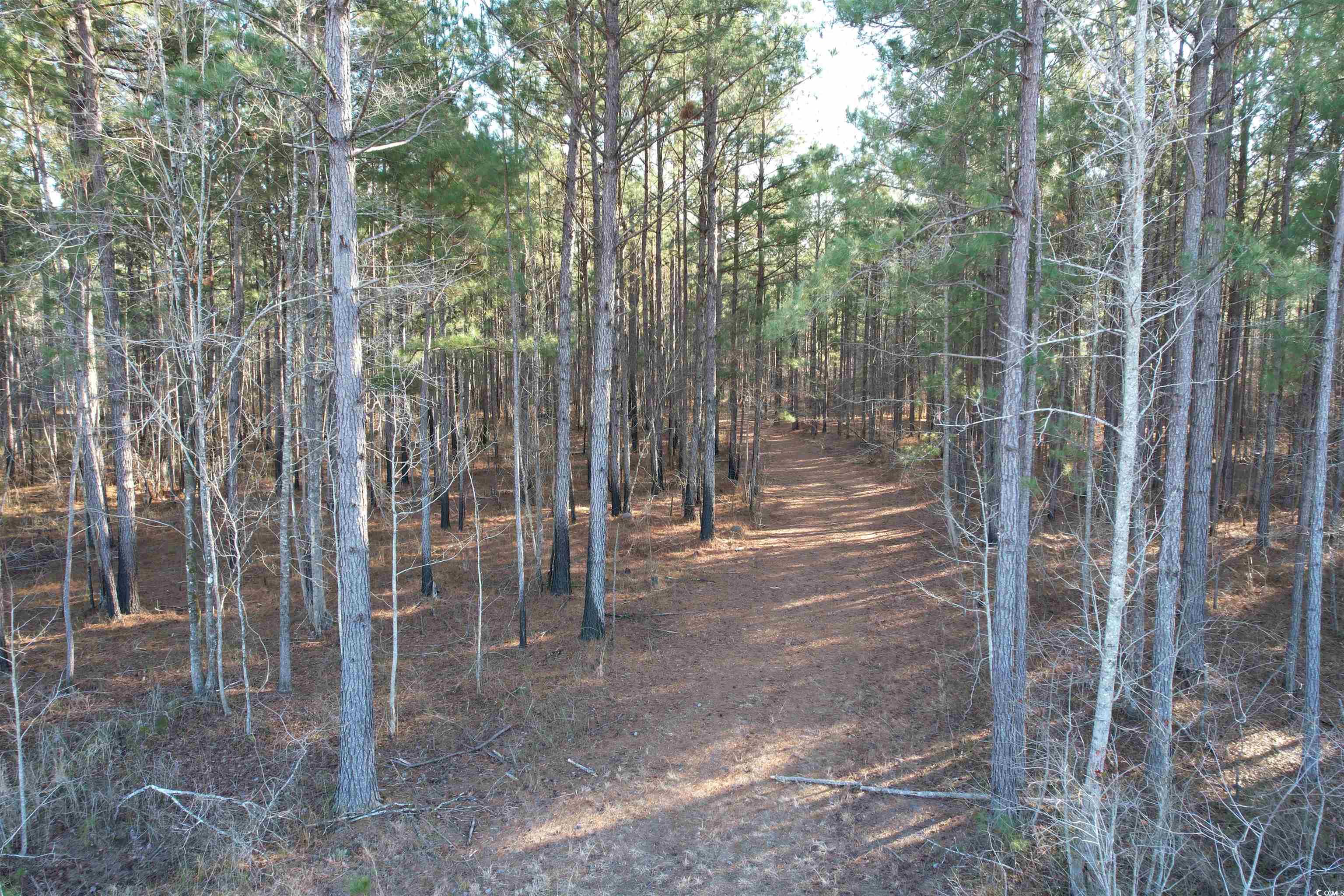 Tbd Rocky Ford Rd. Property Photo 15