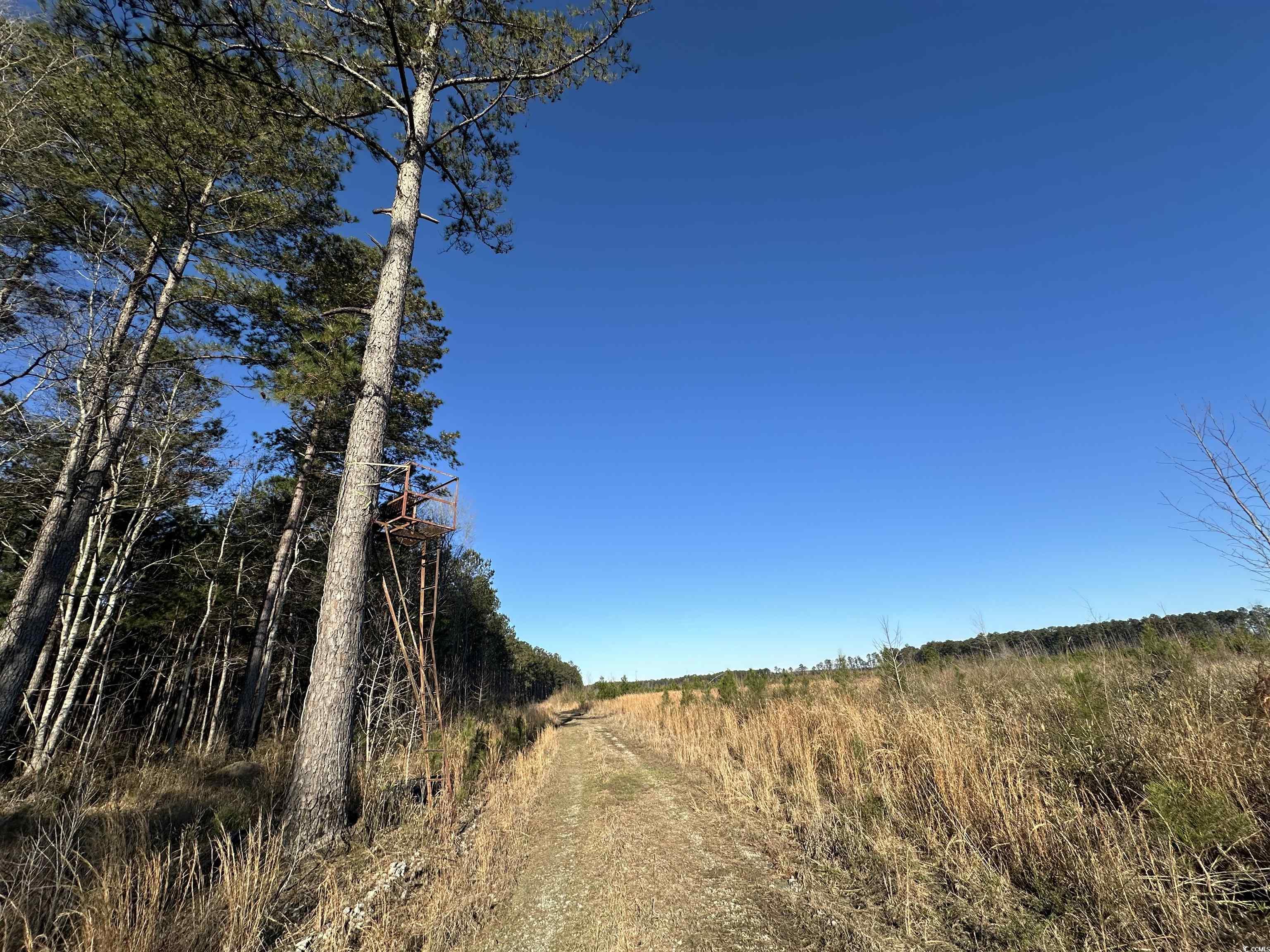 Tbd Rocky Ford Rd. Property Photo 17
