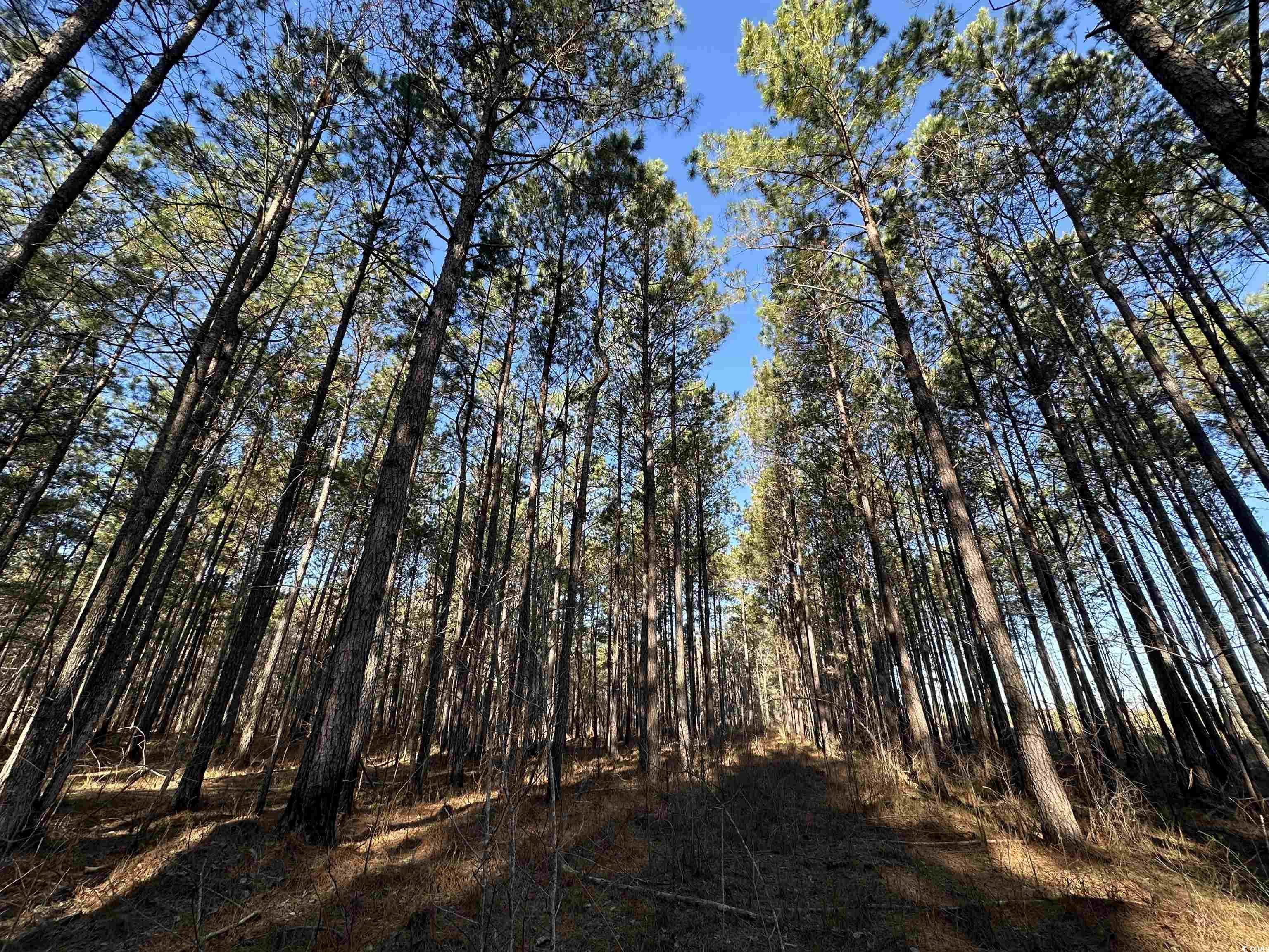 Tbd Rocky Ford Rd. Property Photo 19