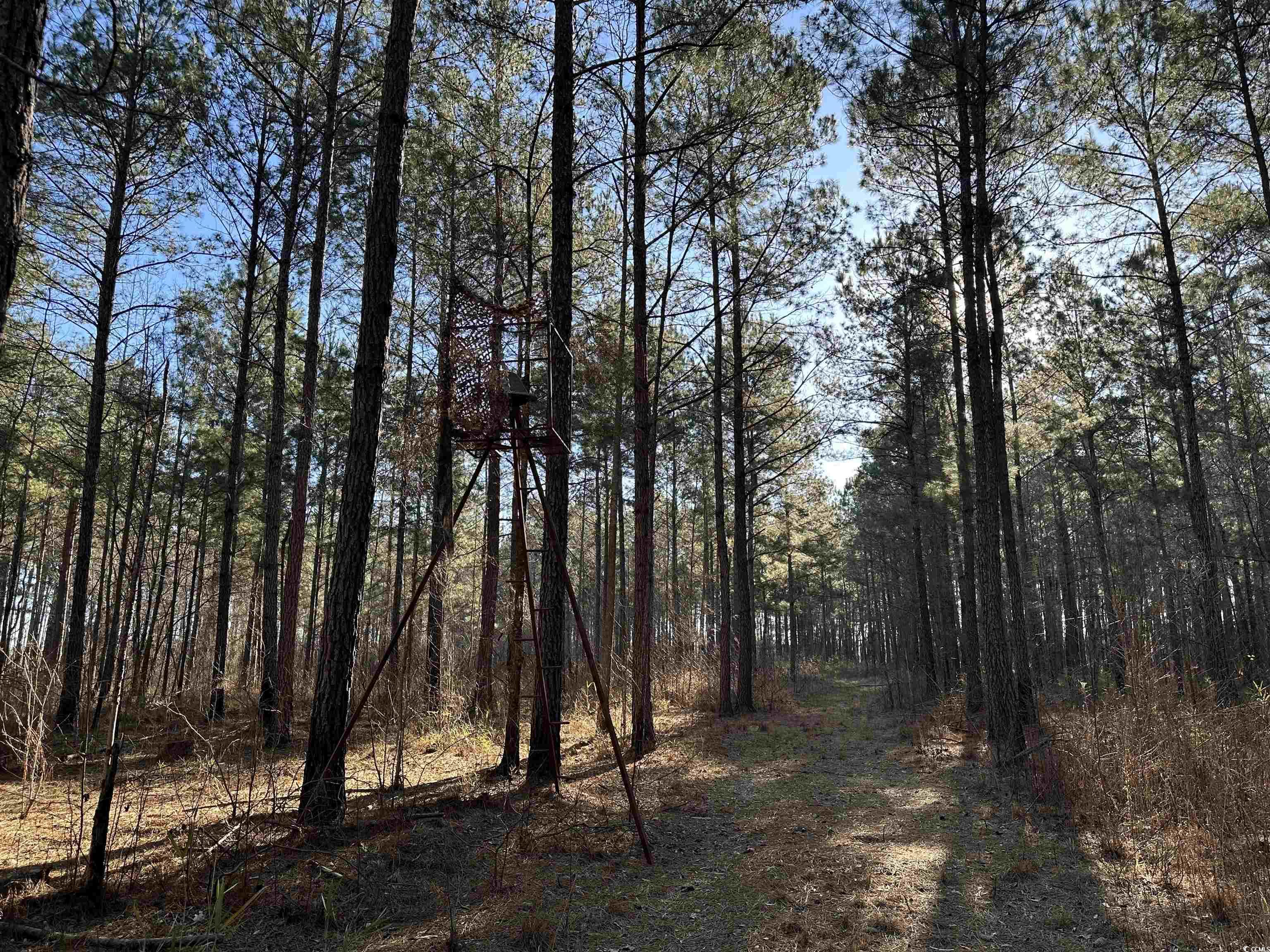 Tbd Rocky Ford Rd. Property Photo 20