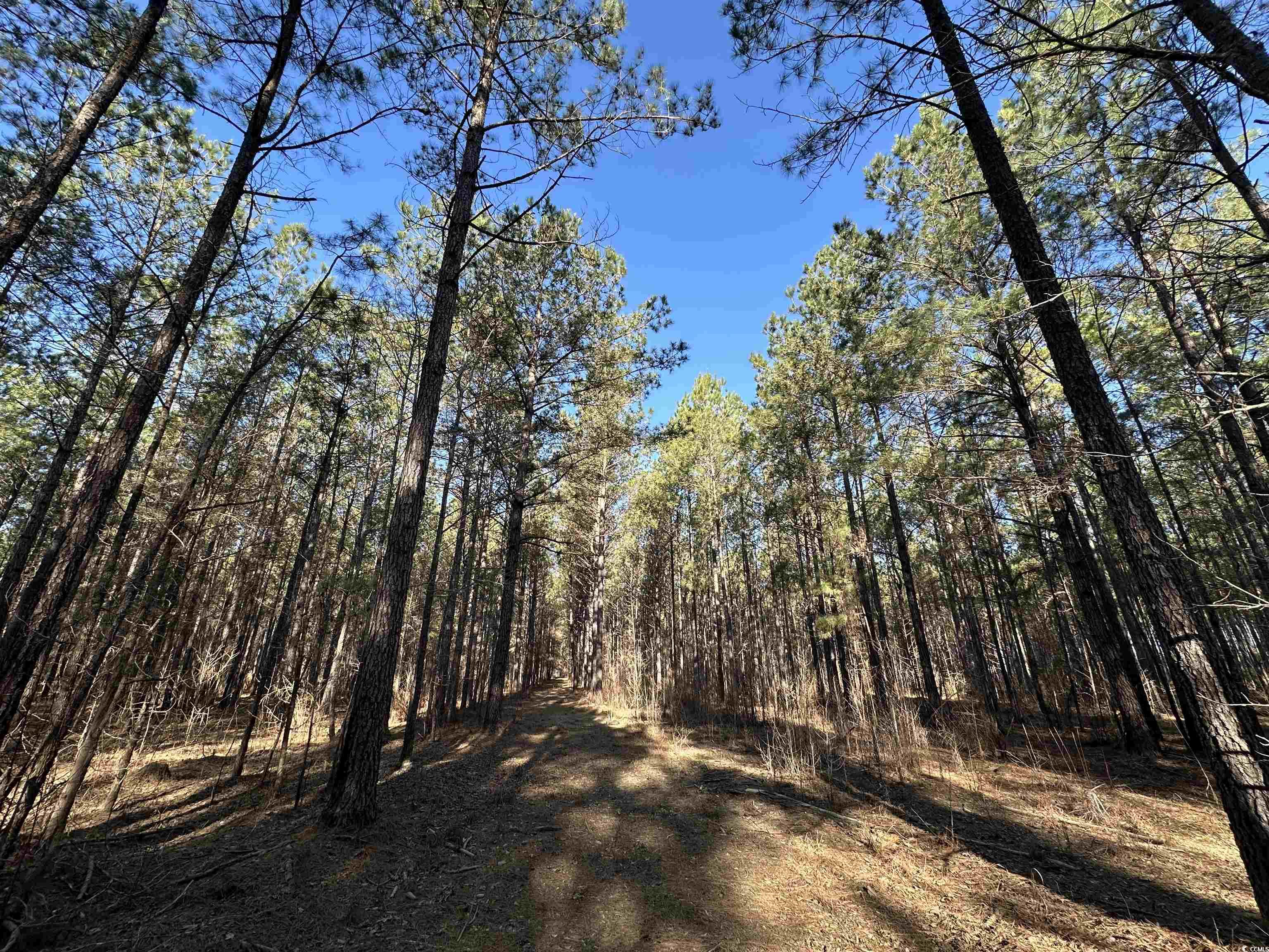 Tbd Rocky Ford Rd. Property Photo 21