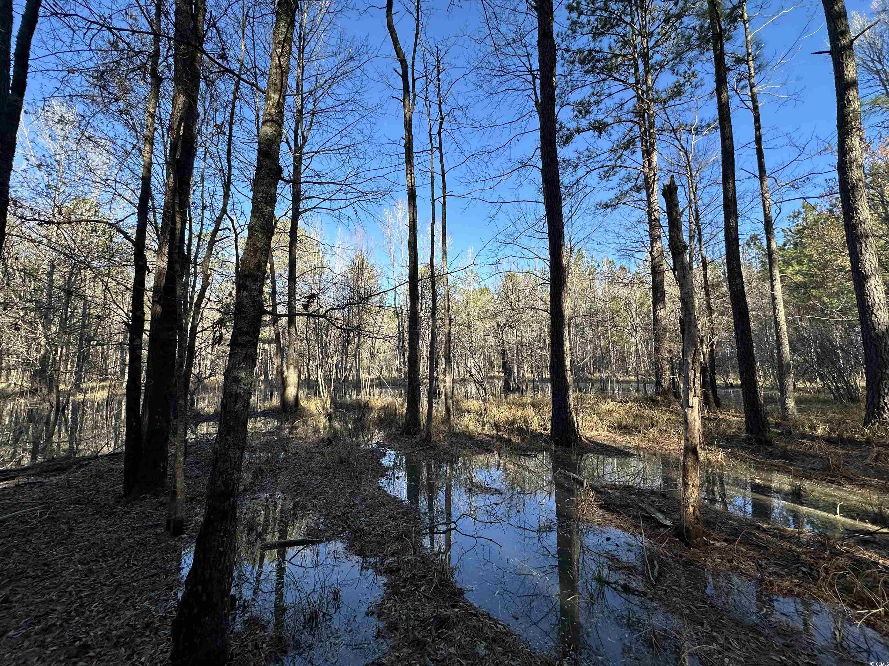 Tbd Rocky Ford Rd. Property Photo 22