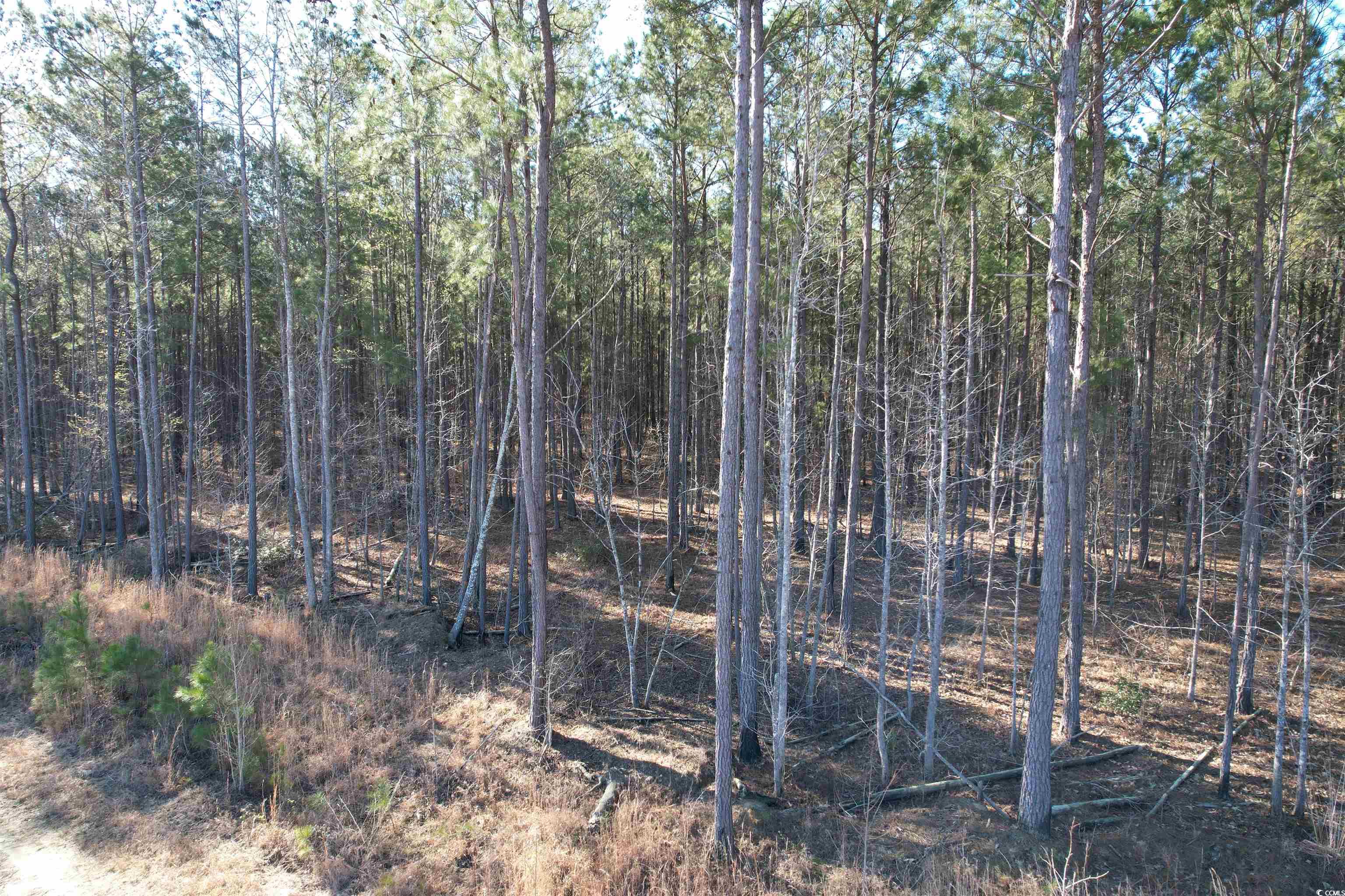 Tbd Rocky Ford Rd. Property Photo 24