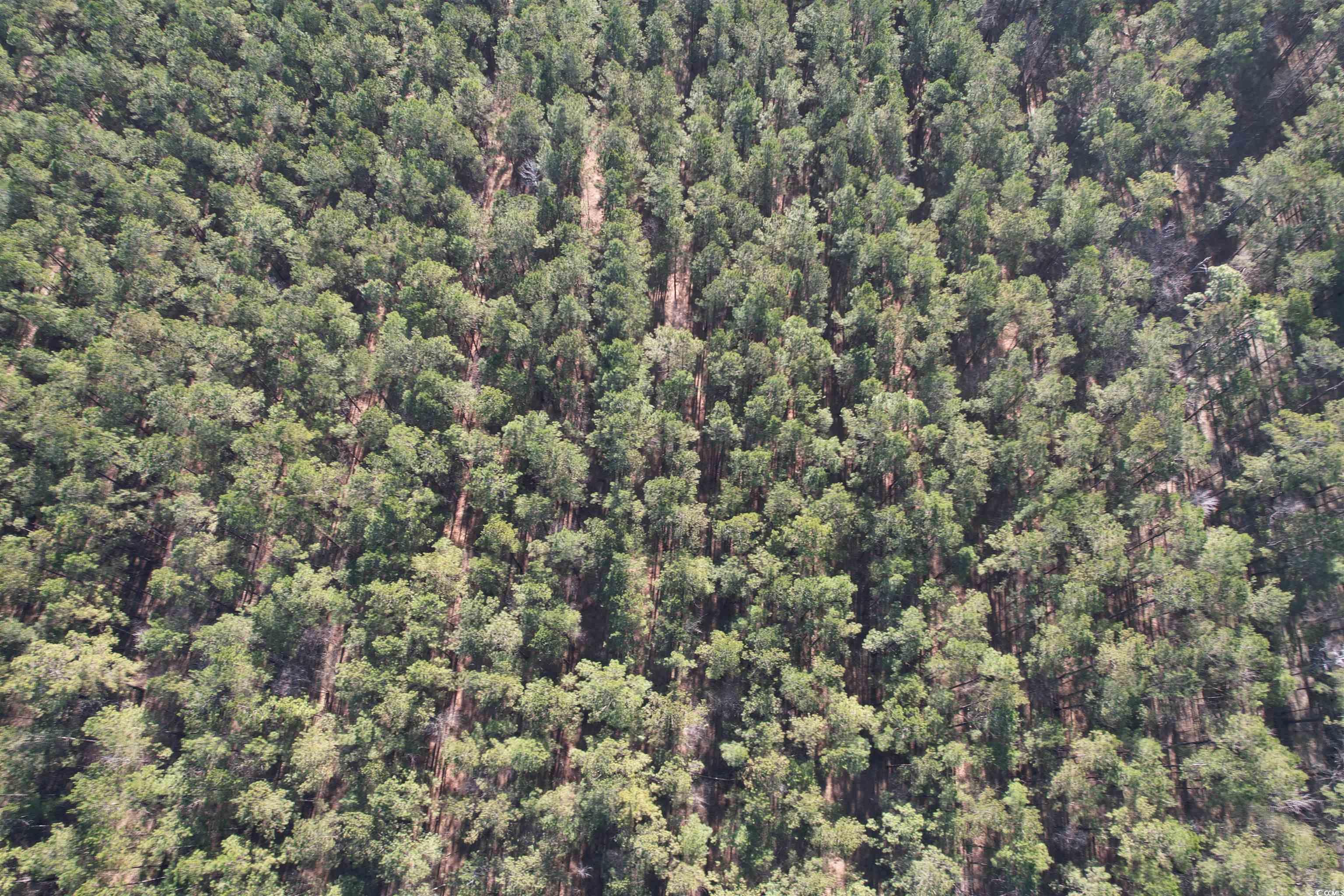 Tbd Rocky Ford Rd. Property Photo 26