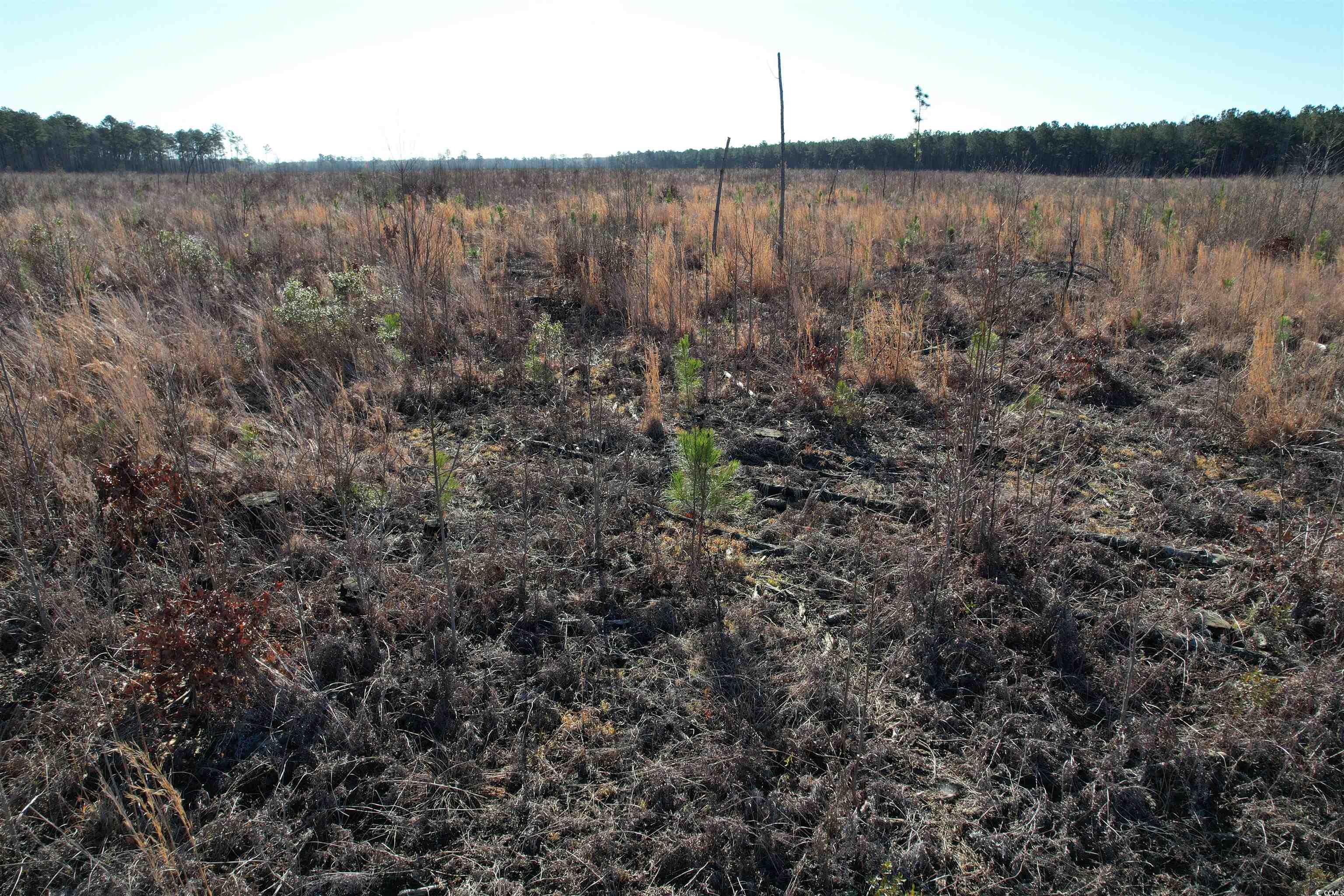 Tbd Rocky Ford Rd. Property Photo 32