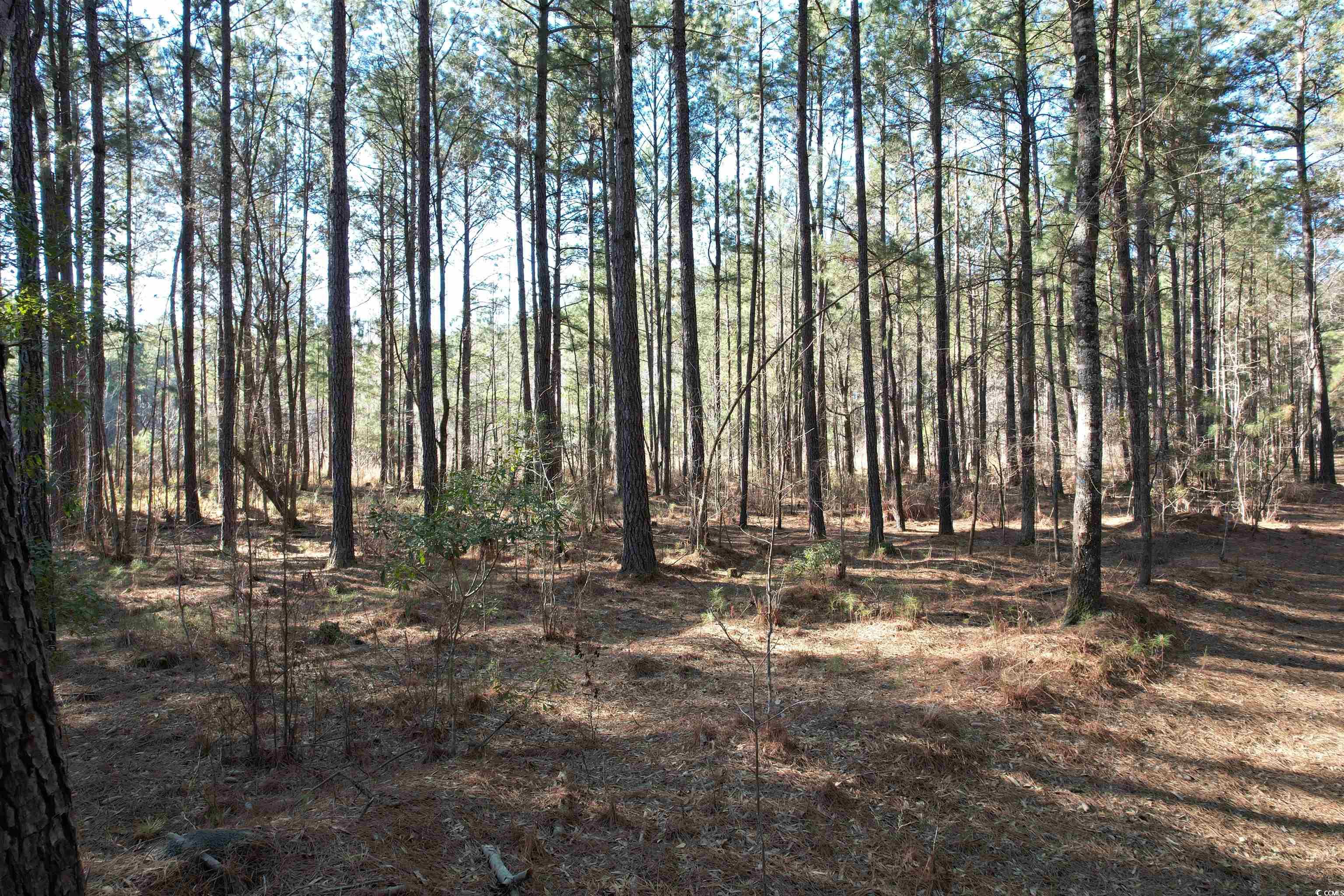 Tbd Rocky Ford Rd. Property Photo 35