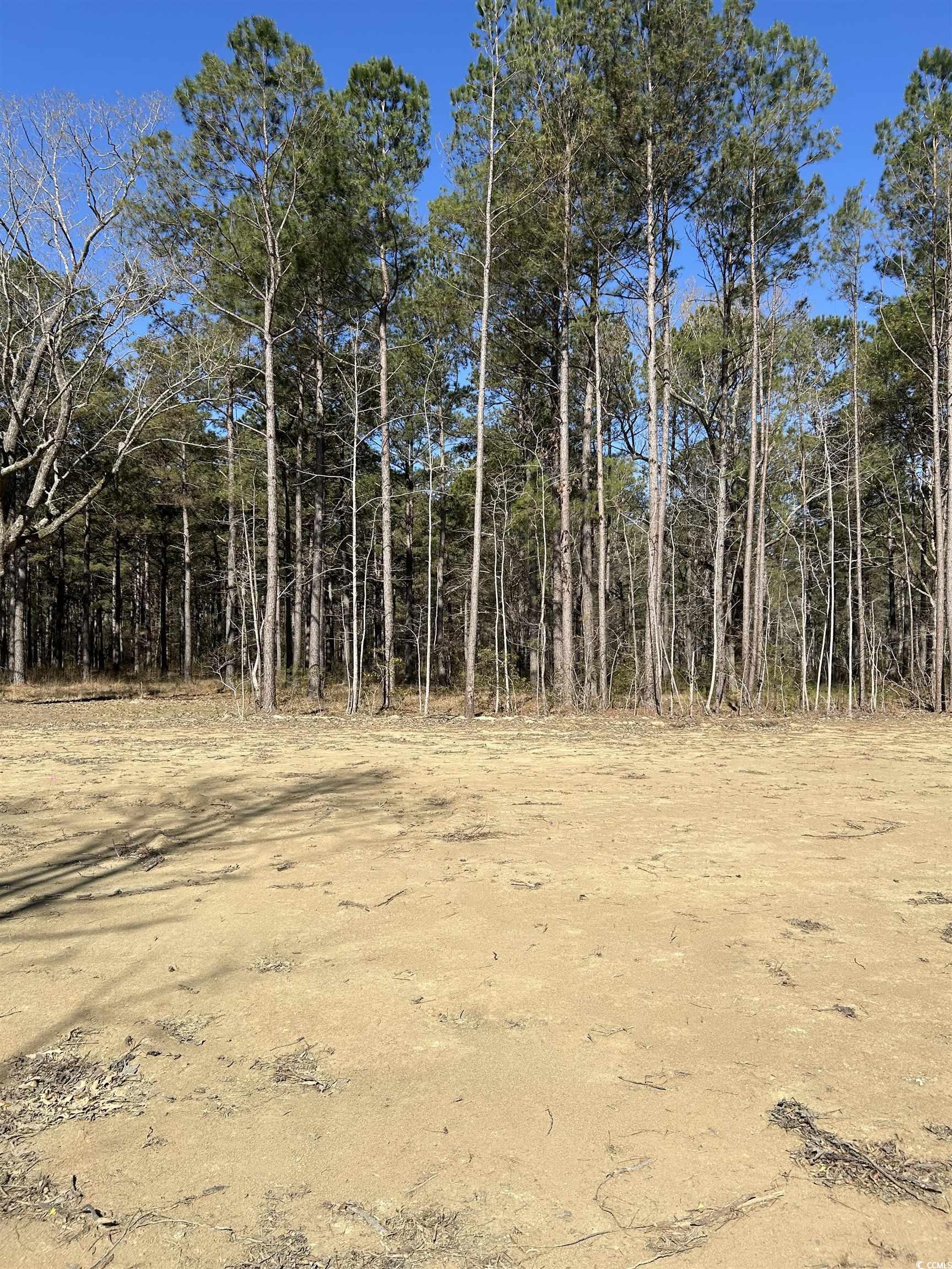 307 Suttons Rd. Property Photo 8