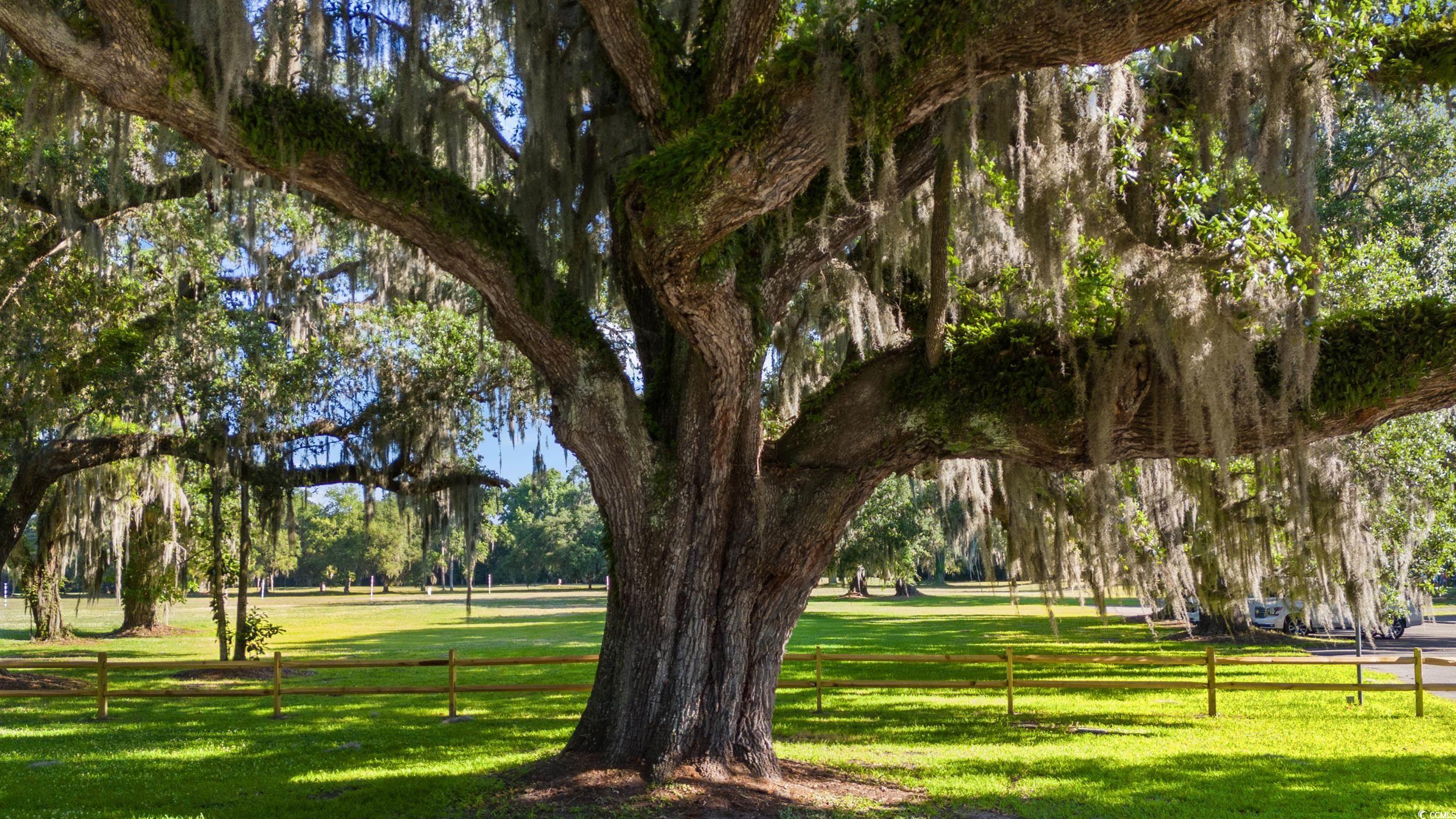 839 Francis Parker Rd. Property Photo 37