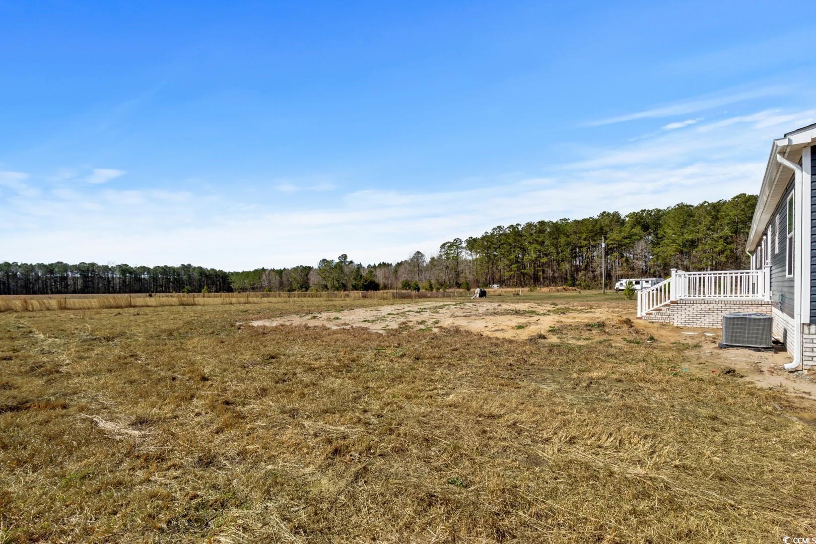 703 Mitchell Swamp Rd. Property Photo 18