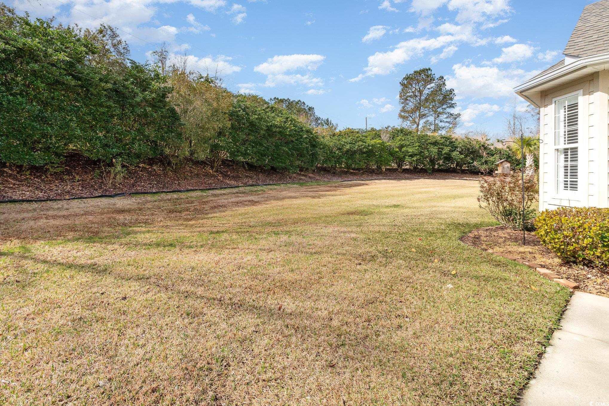 951 Foxtail Dr. Property Photo 31